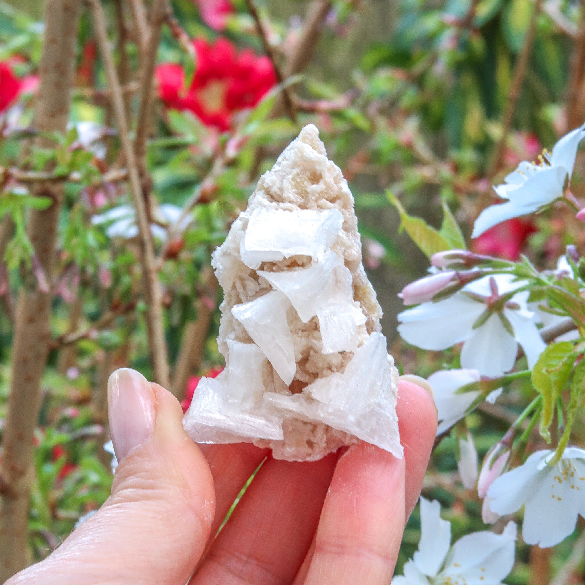 Halite Cluster | White