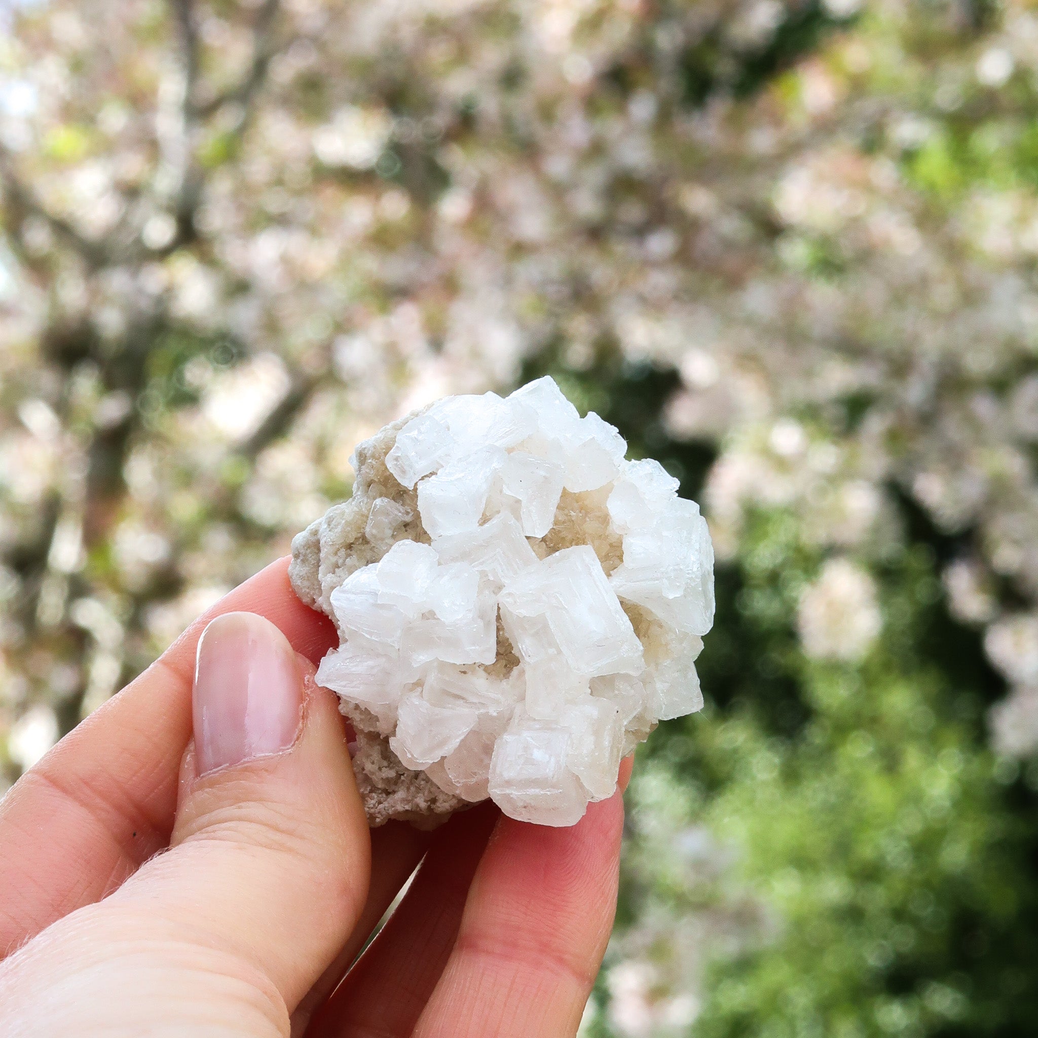 Halite Cluster | White