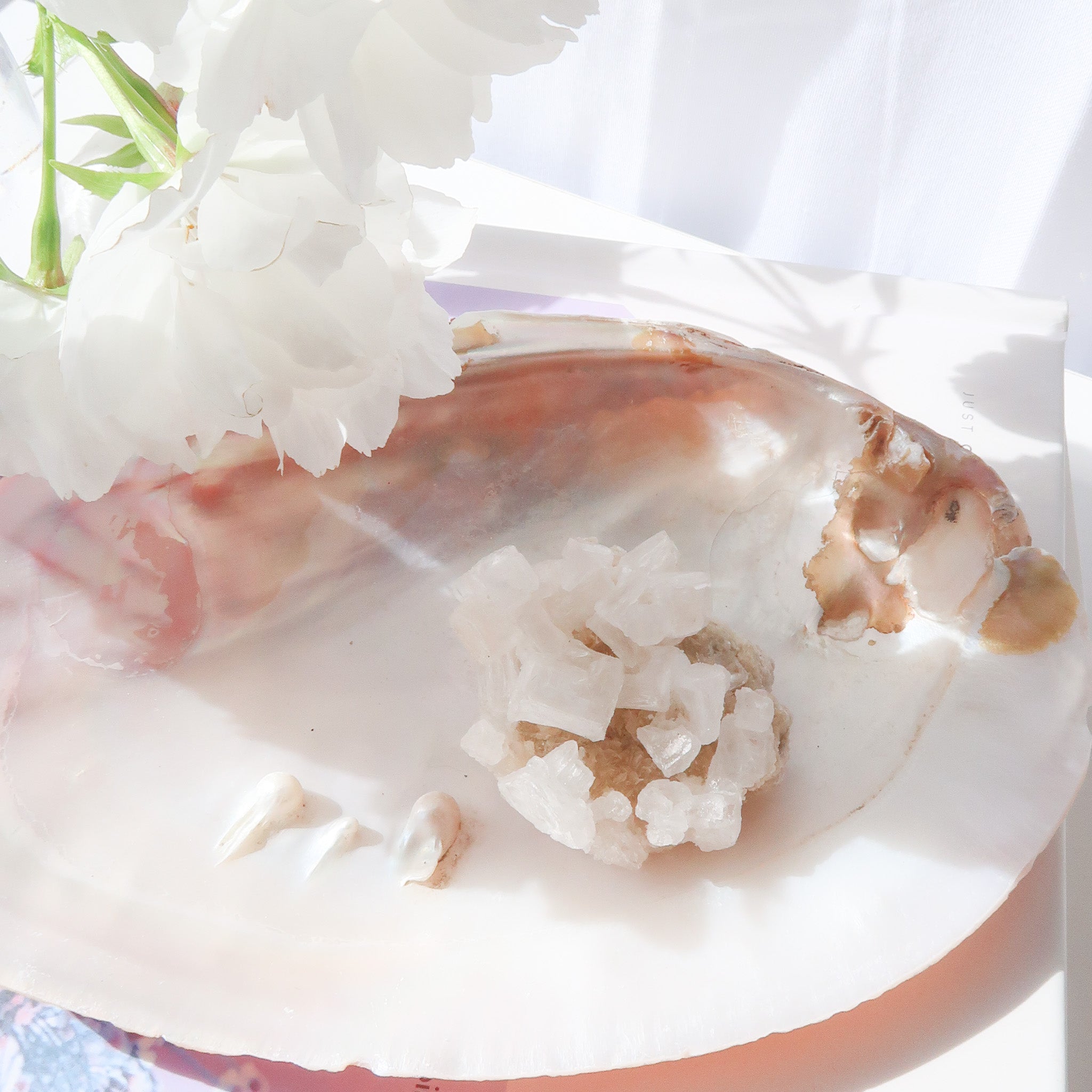 Halite Cluster | White