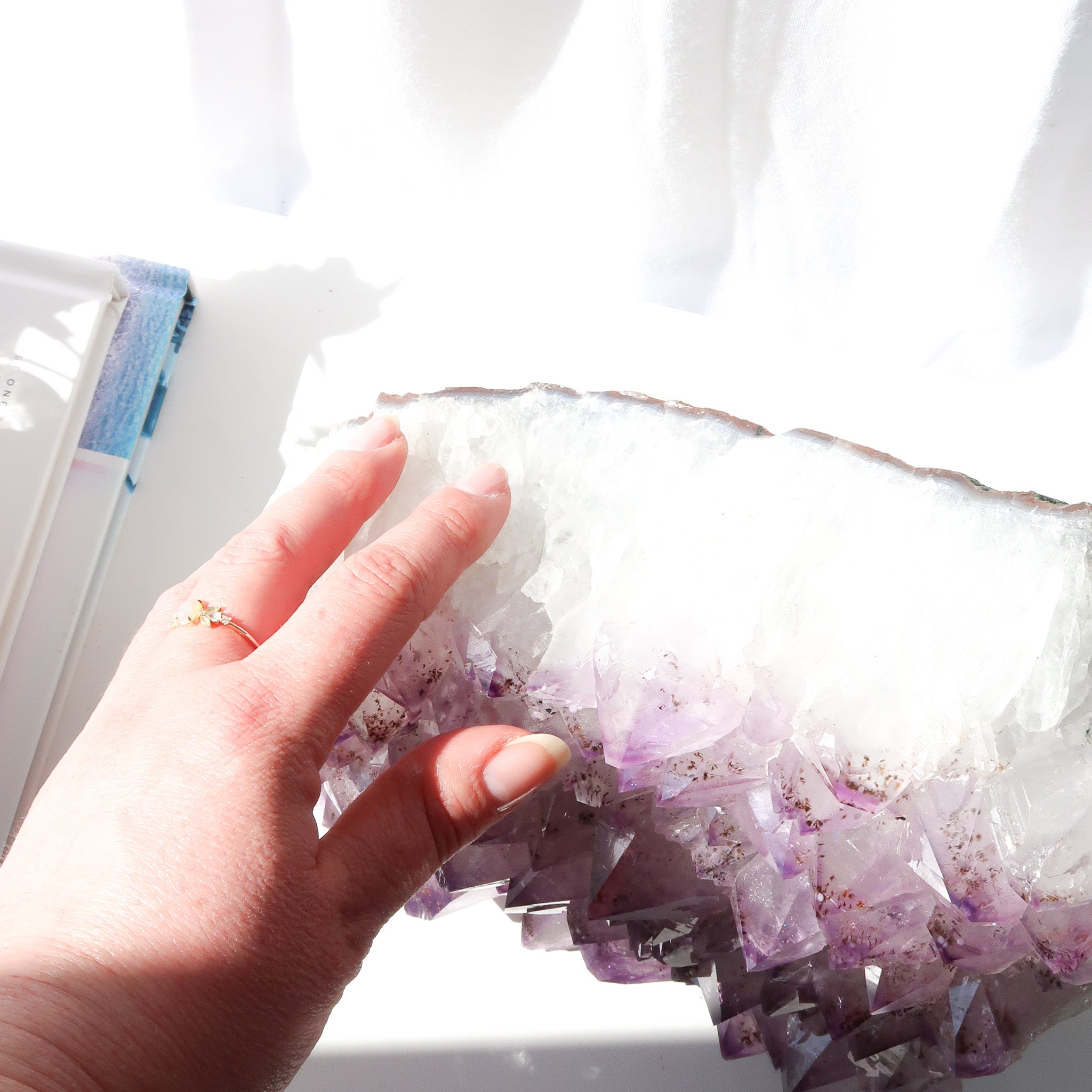 Amethyst Cluster | Cut Base