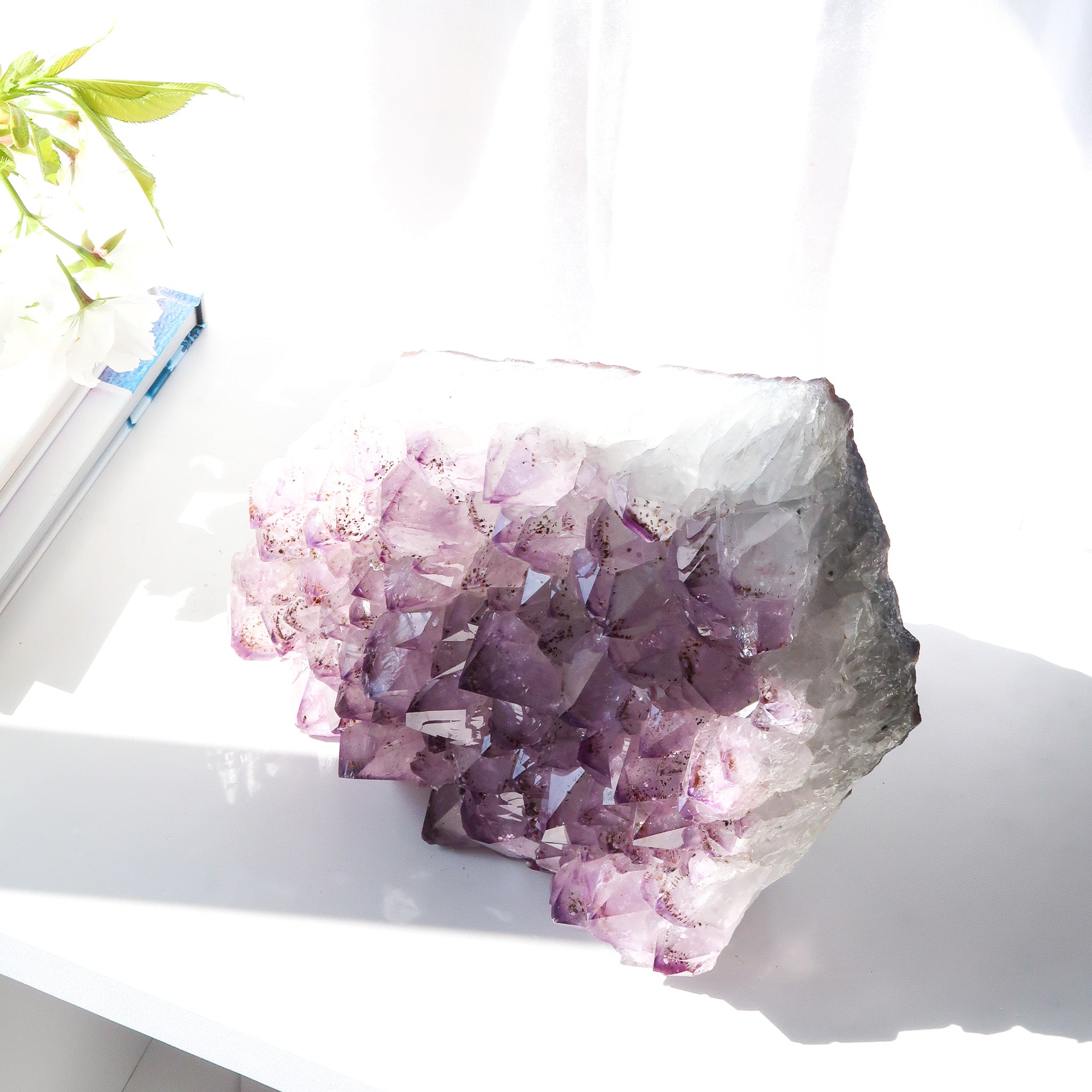 Amethyst Cluster | Cut Base