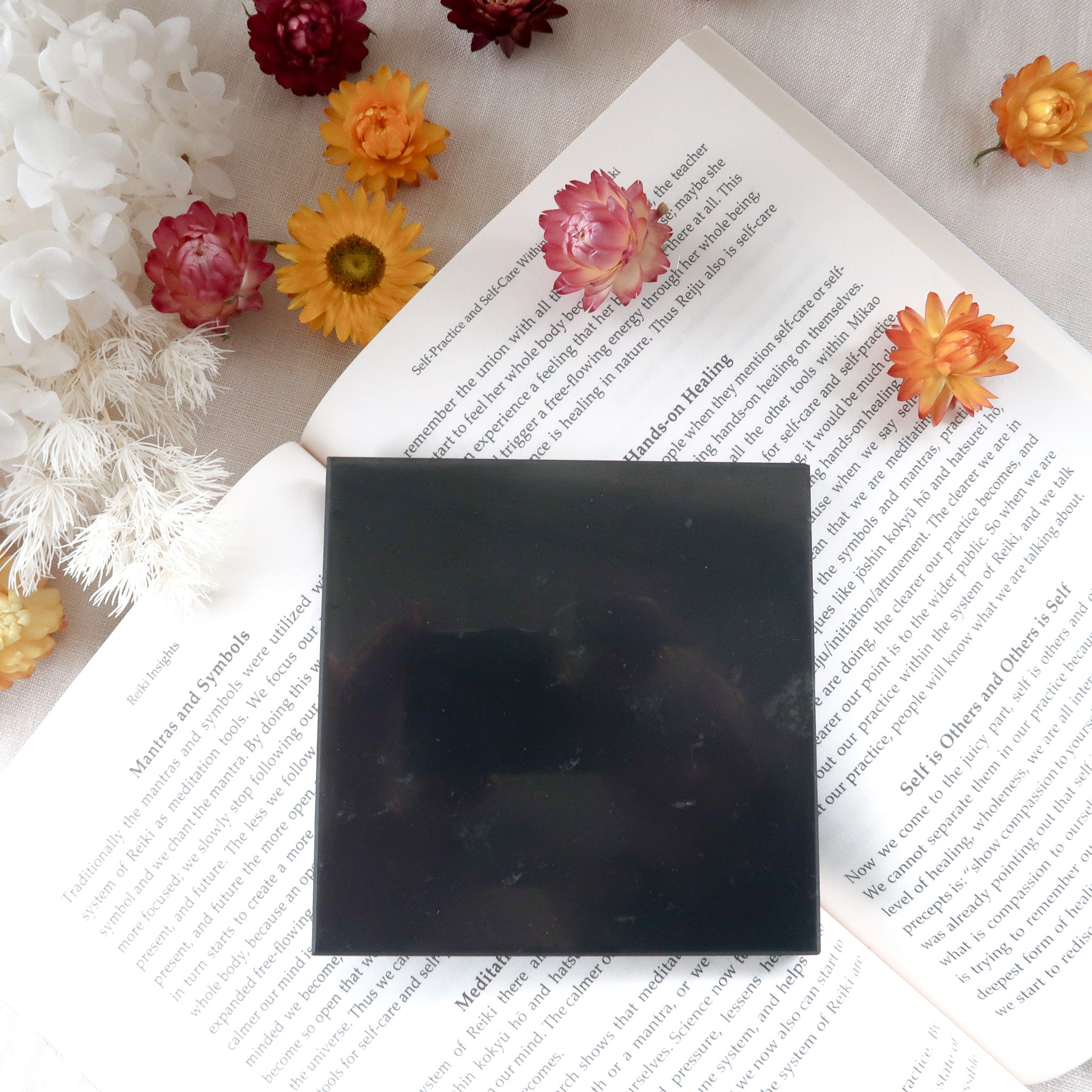 Shungite Coaster | Elite