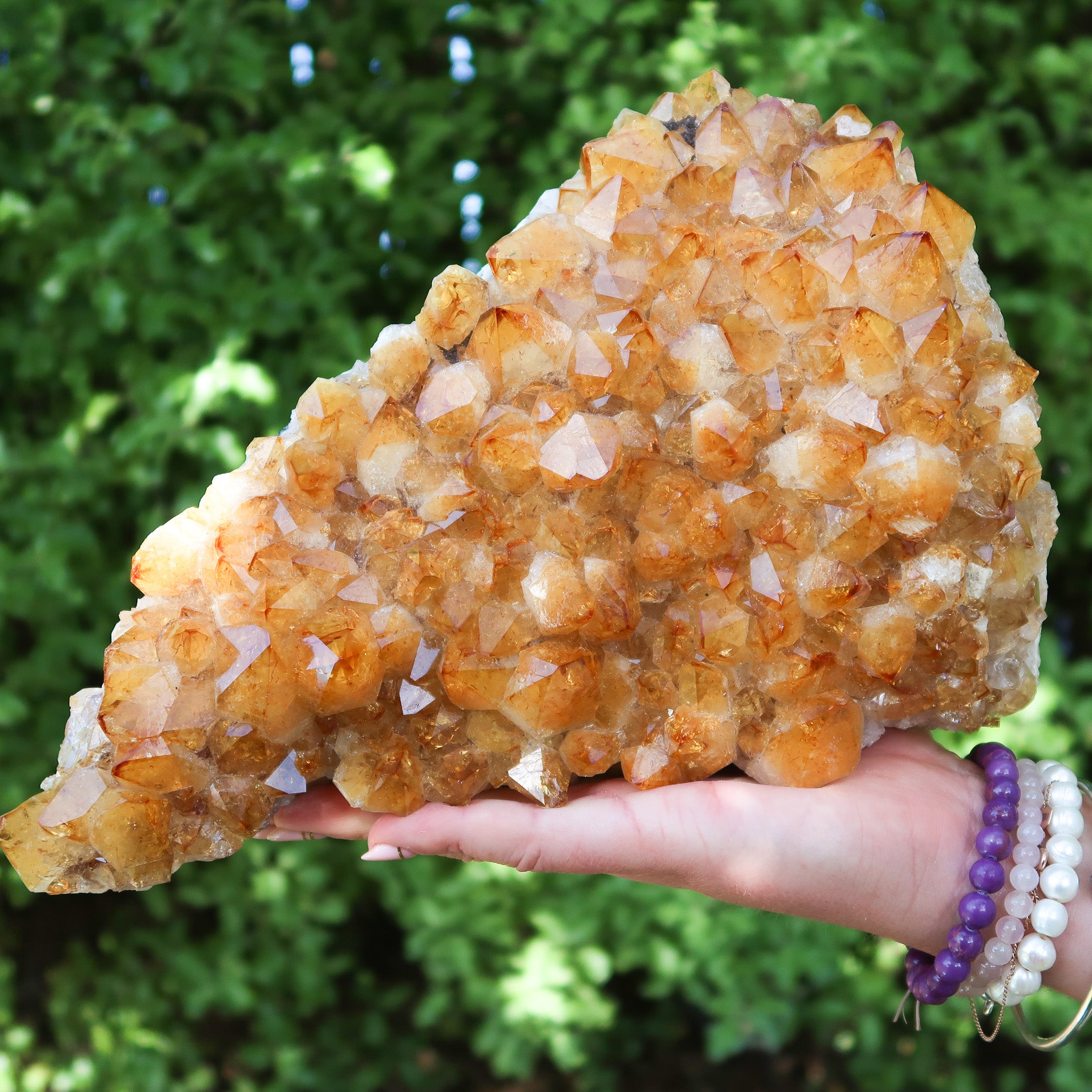 Citrine Cluster | Extra Large
