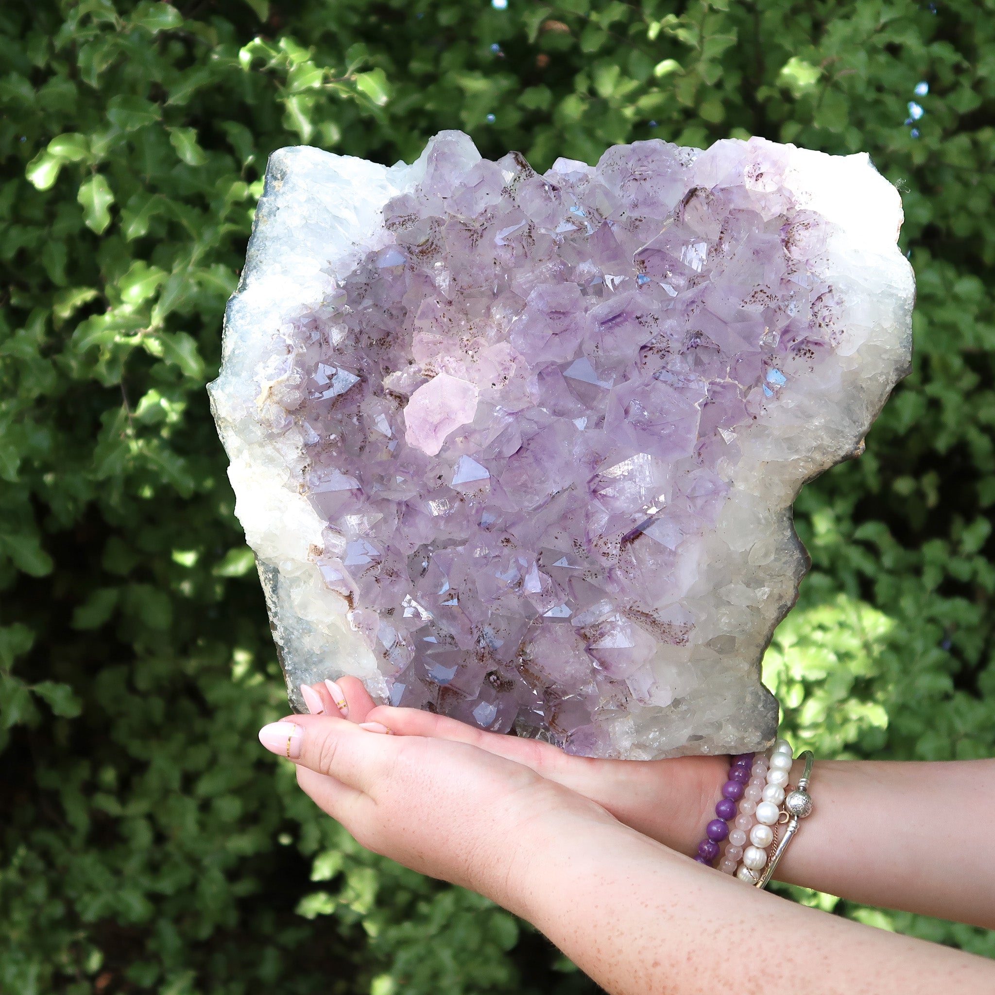 Amethyst Cluster | Cut Base