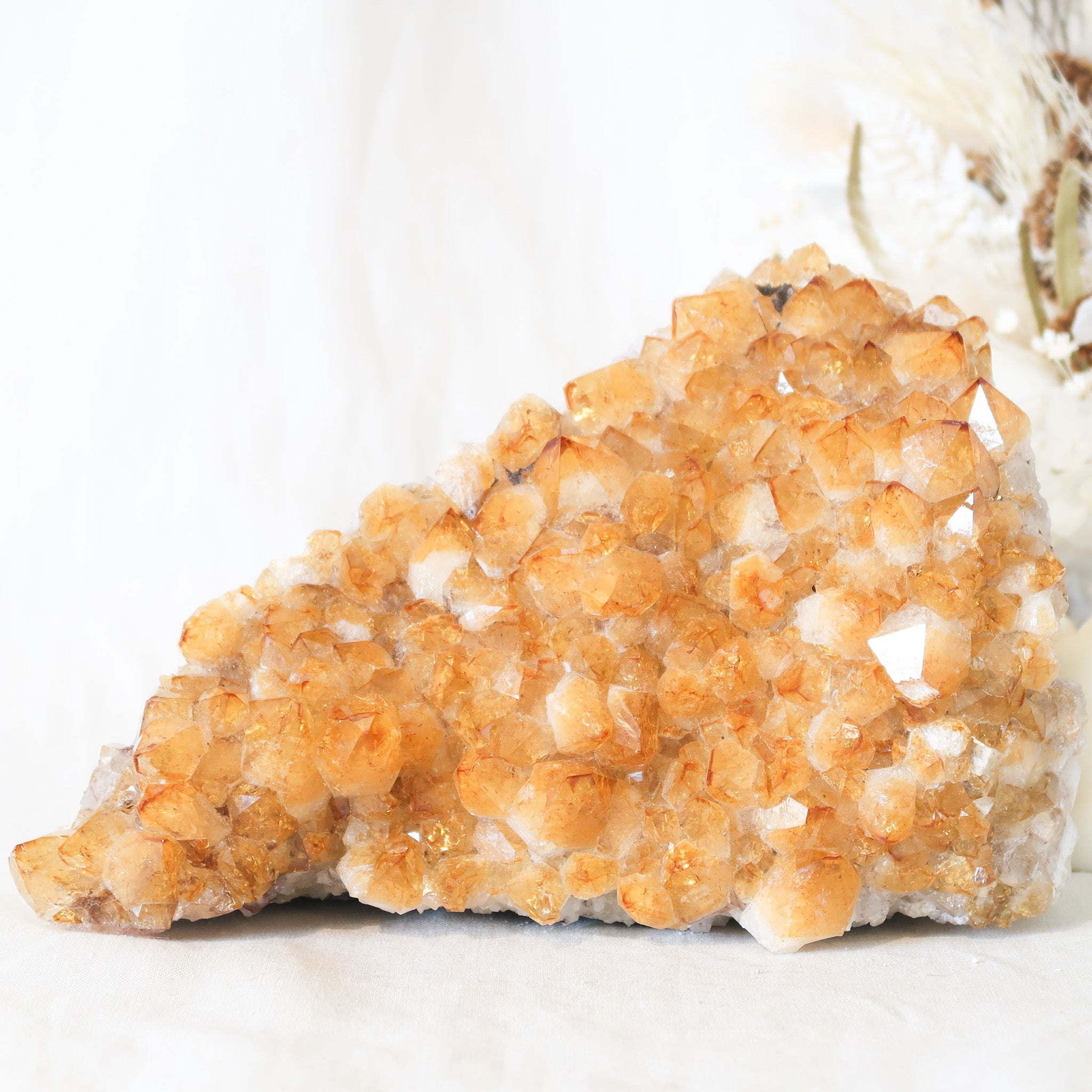 Citrine Cluster | Extra Large