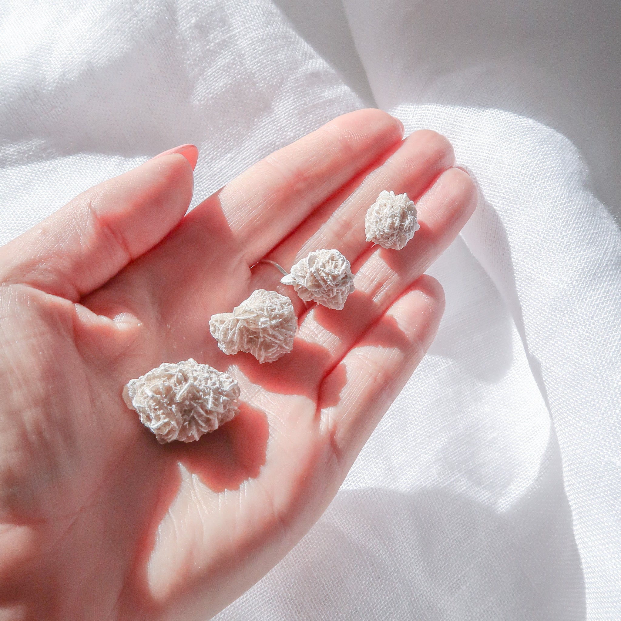 Desert Rose Cluster | Mini