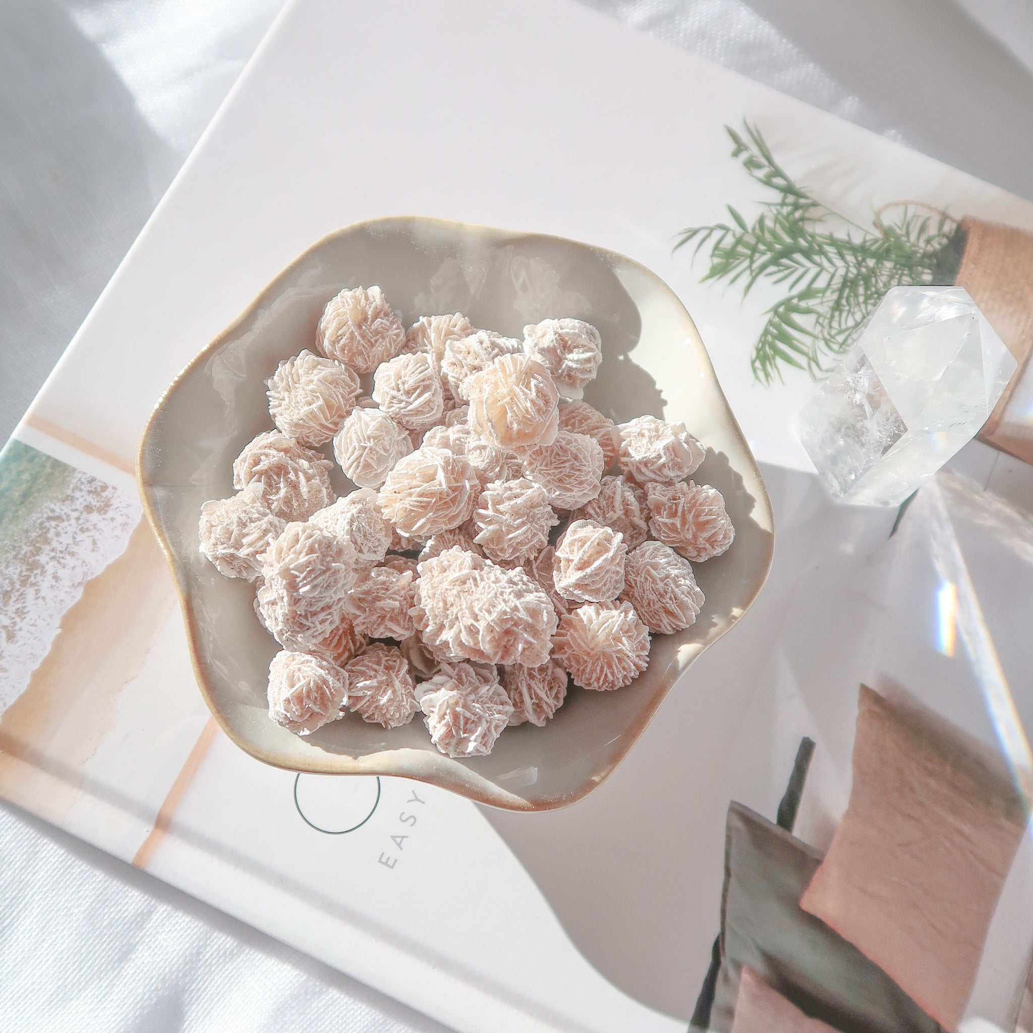 Desert Rose Cluster | Mini