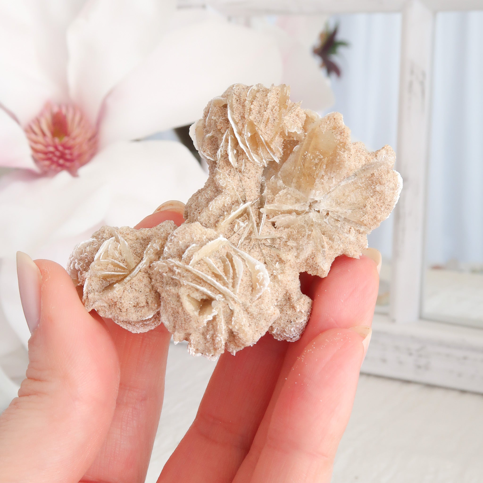 Desert Rose Cluster