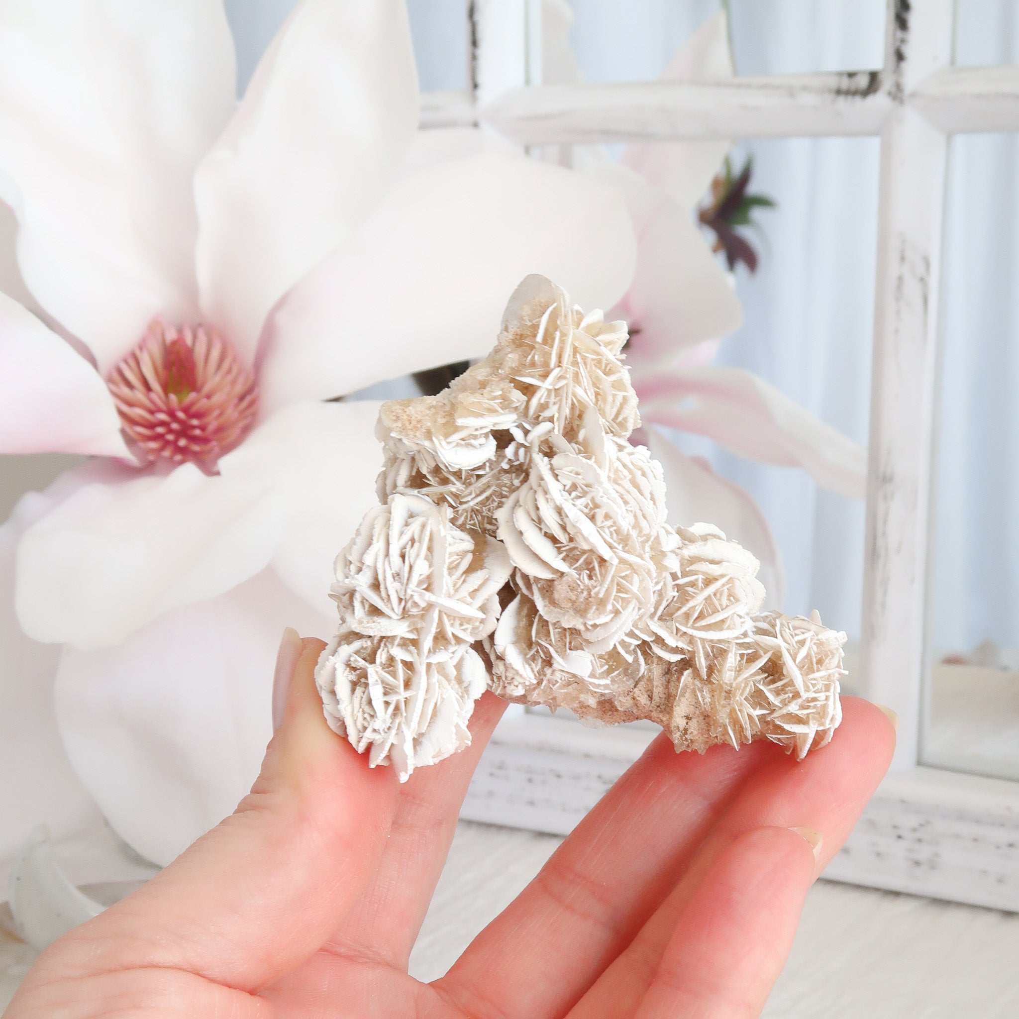Desert Rose Cluster