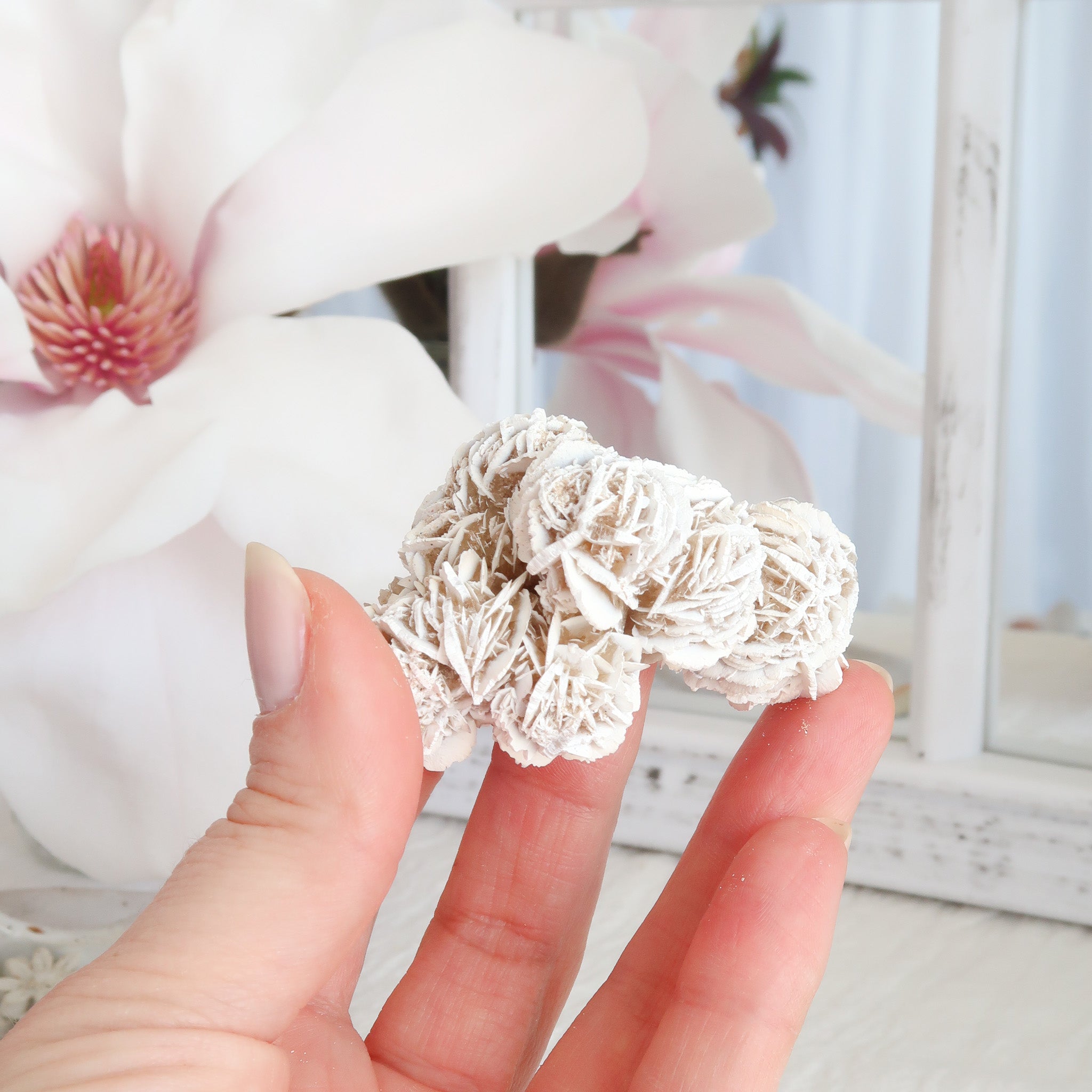 Desert Rose Cluster