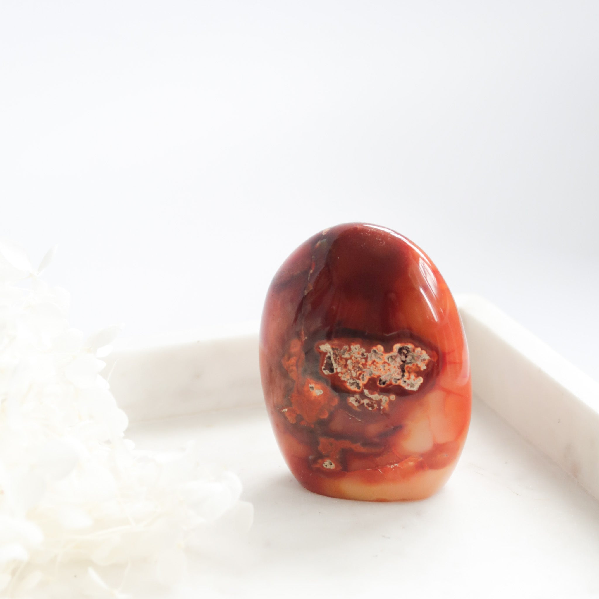 Carnelian Freeform | Polished