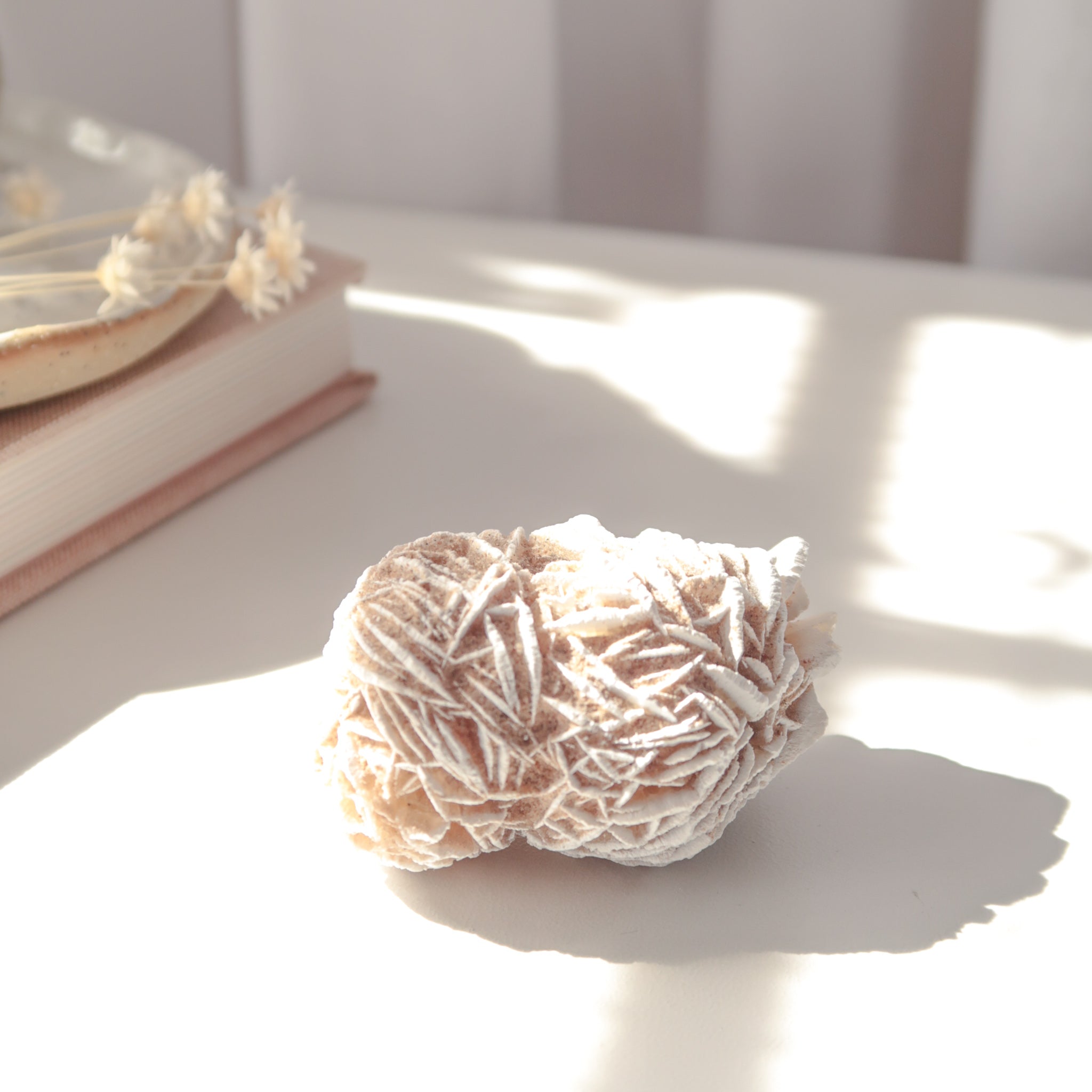 Desert Rose Cluster