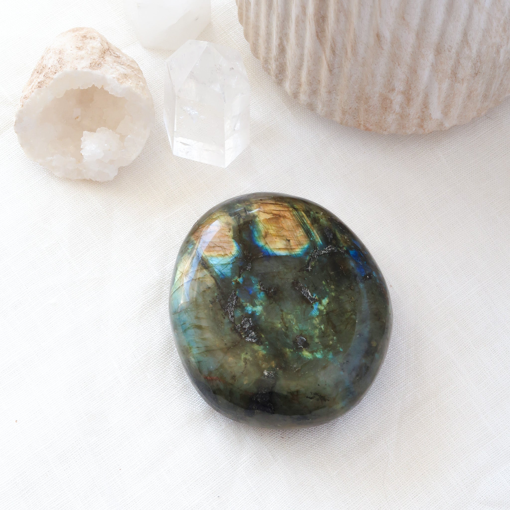 Labradorite Palmstone | A Grade