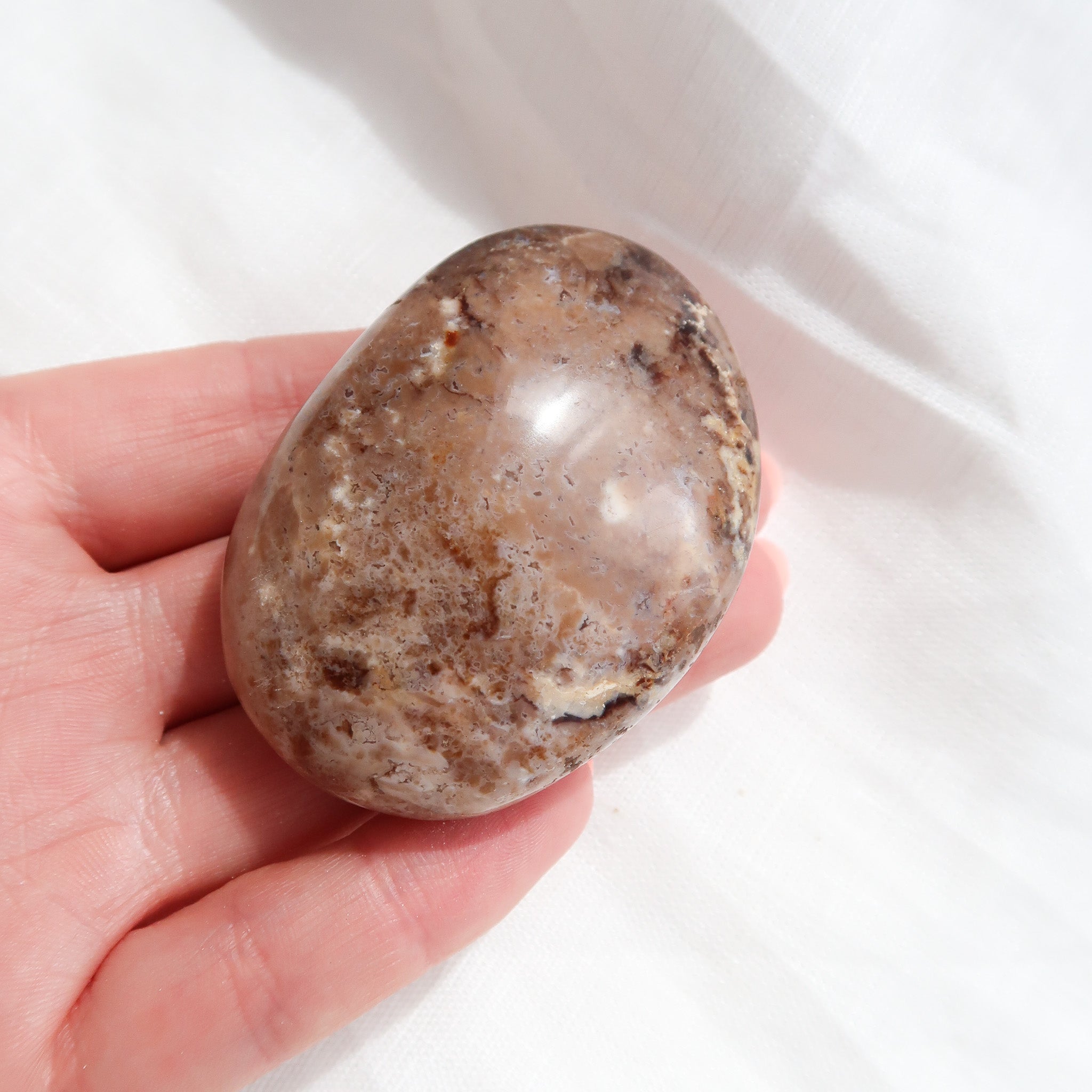 Chocolate Opal Palm Stone