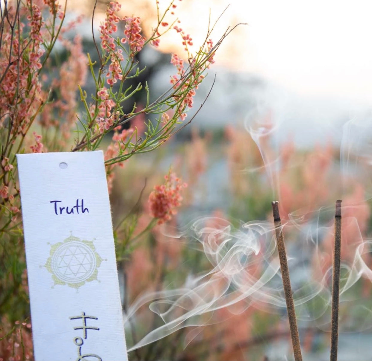 Truth Holy Smoke Eco Incense