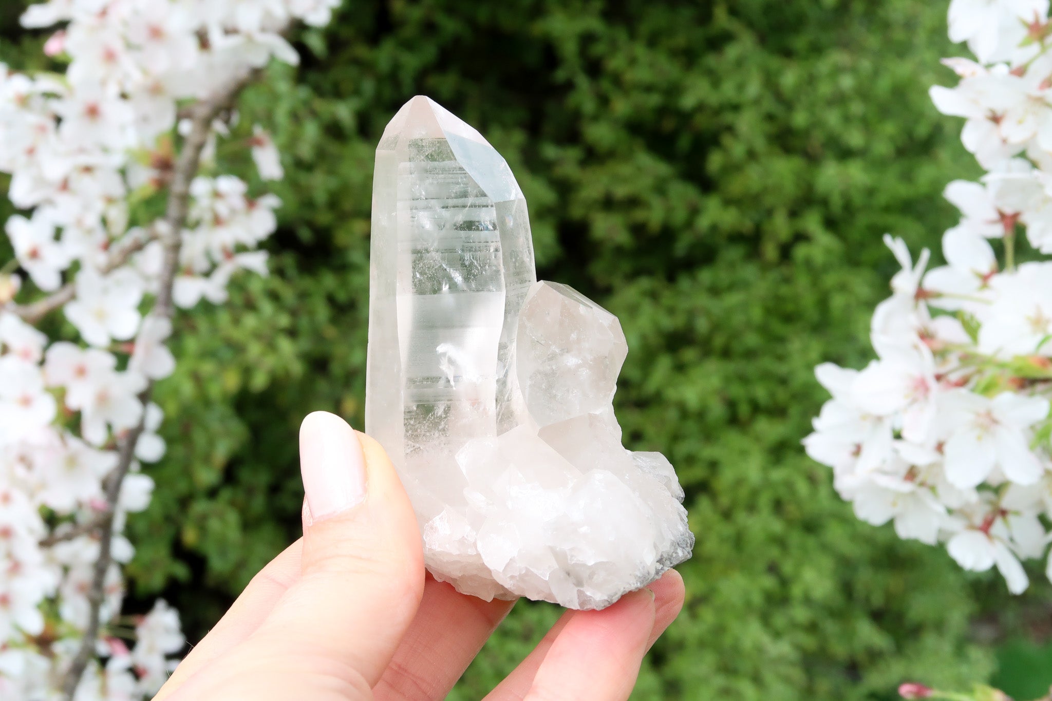 Optic offers clear Lemurian Quartz Crystal