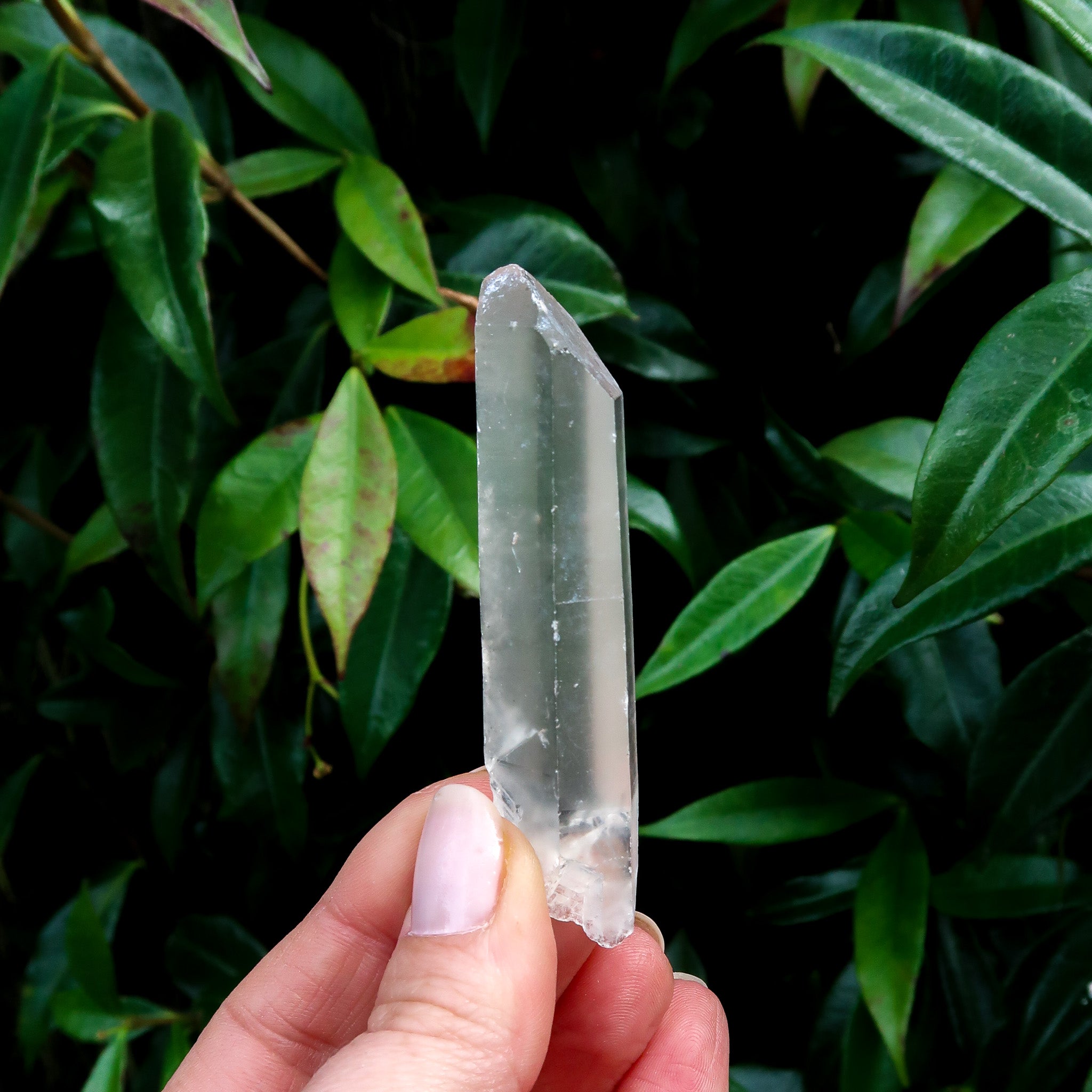 Clear Quartz Point | Raw