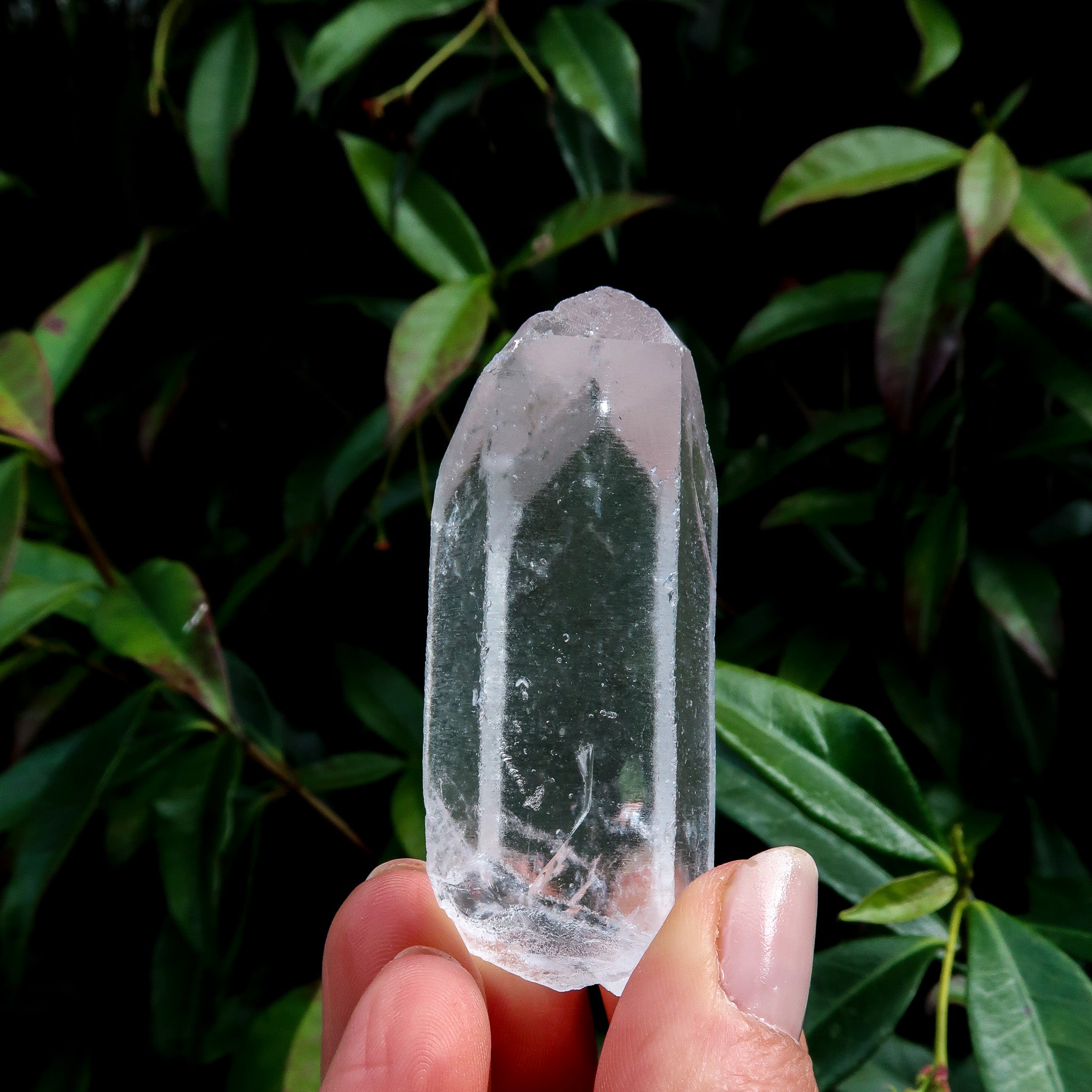 Clear Quartz Point | Raw