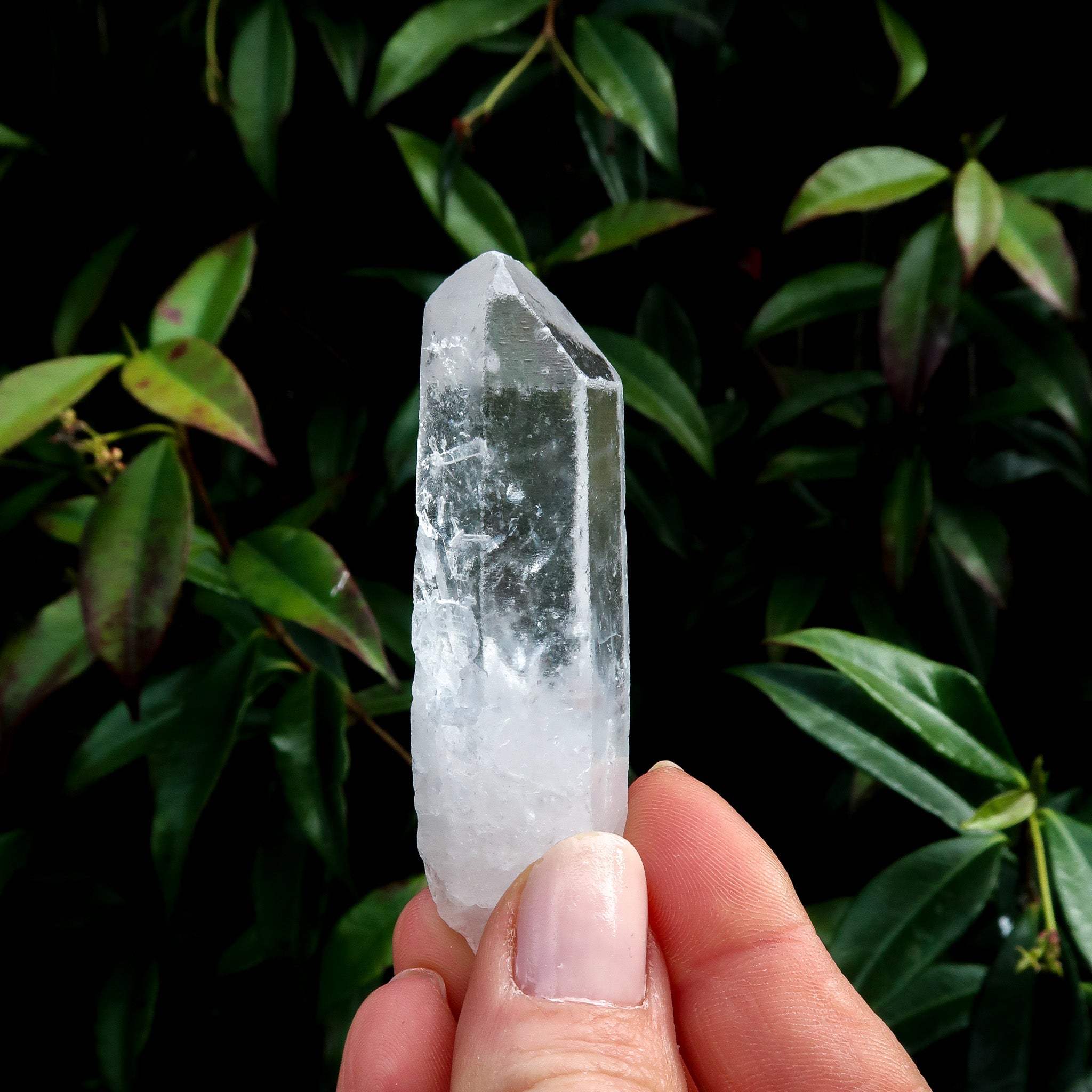 Clear Quartz Point | Raw