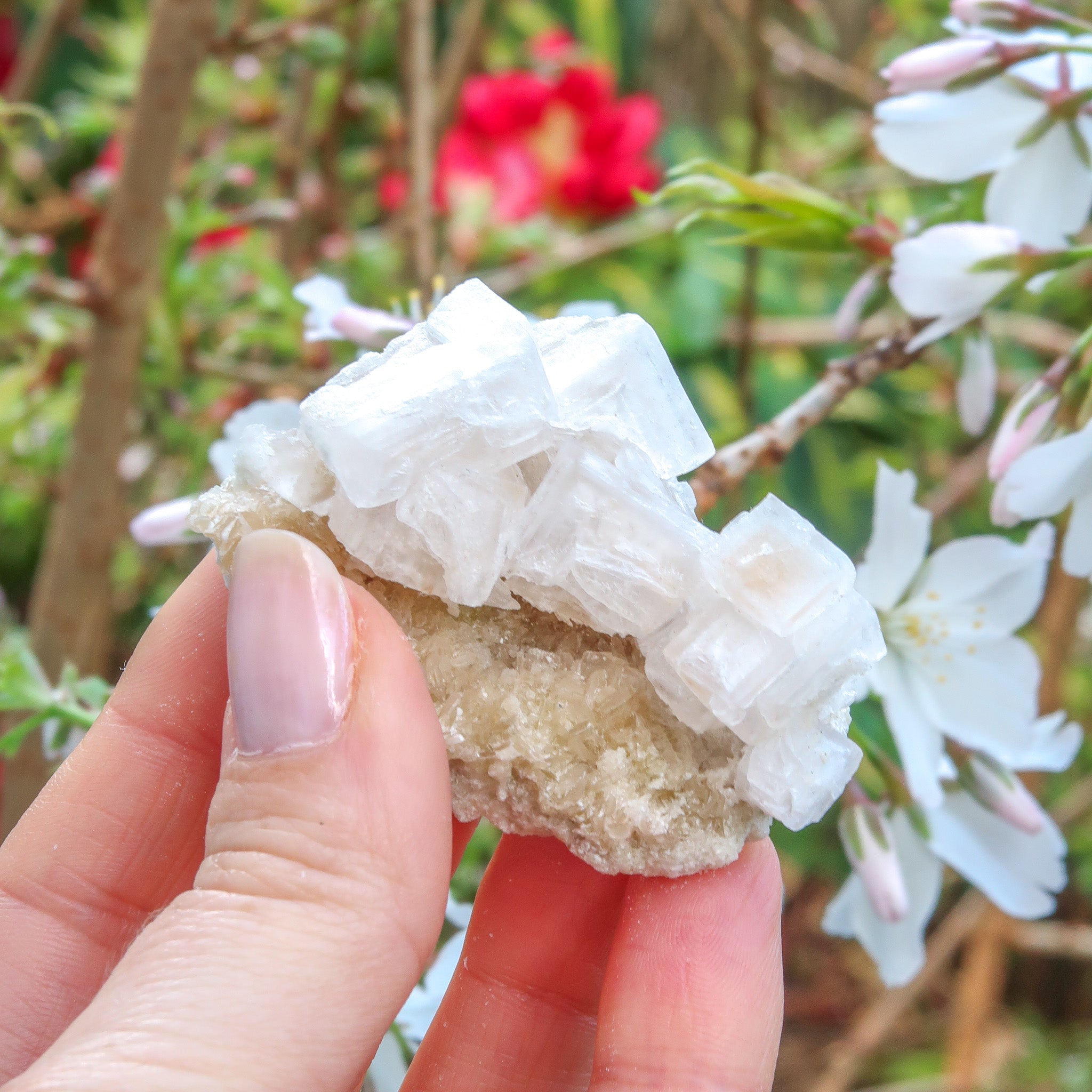 Halite Cluster | White