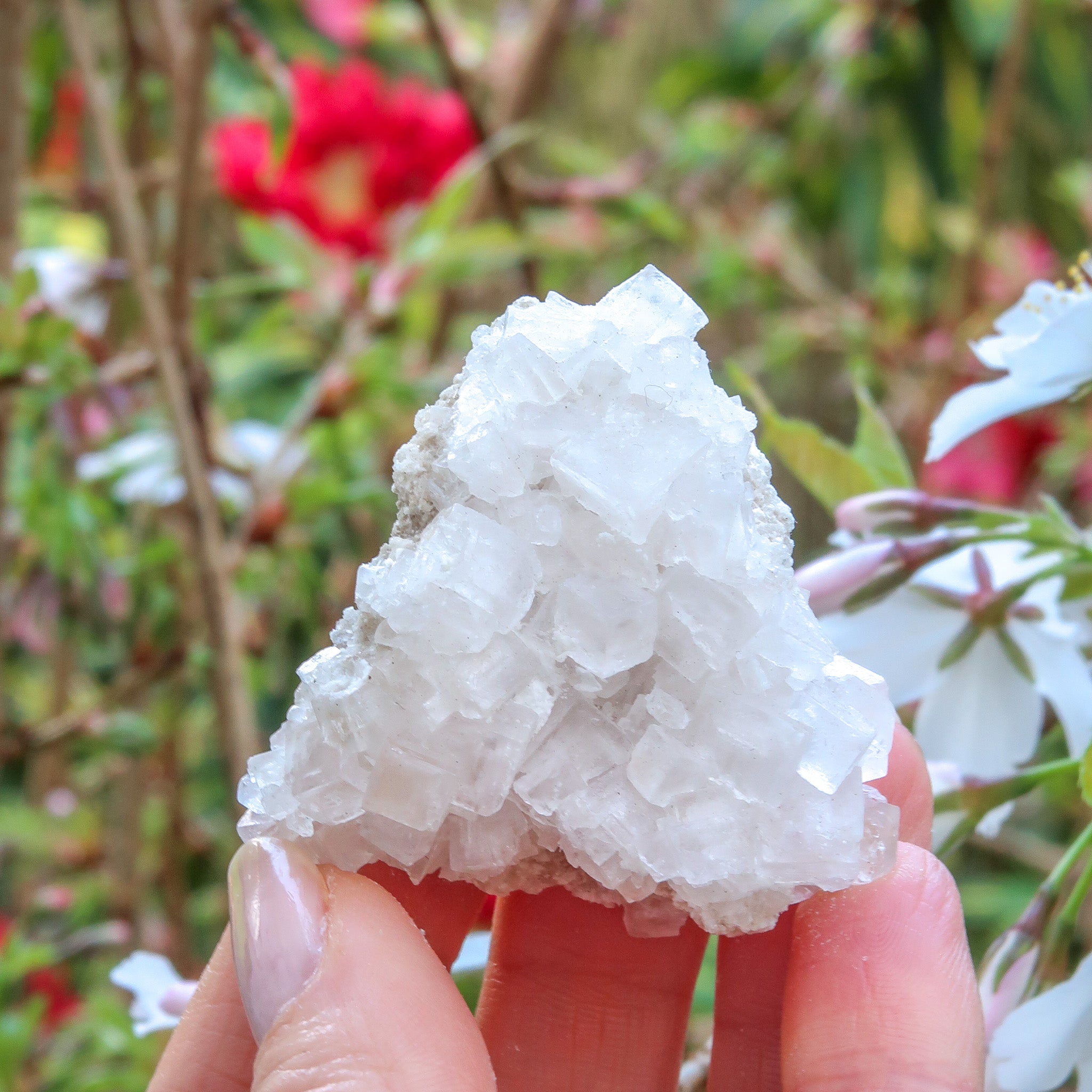 Halite Cluster | White