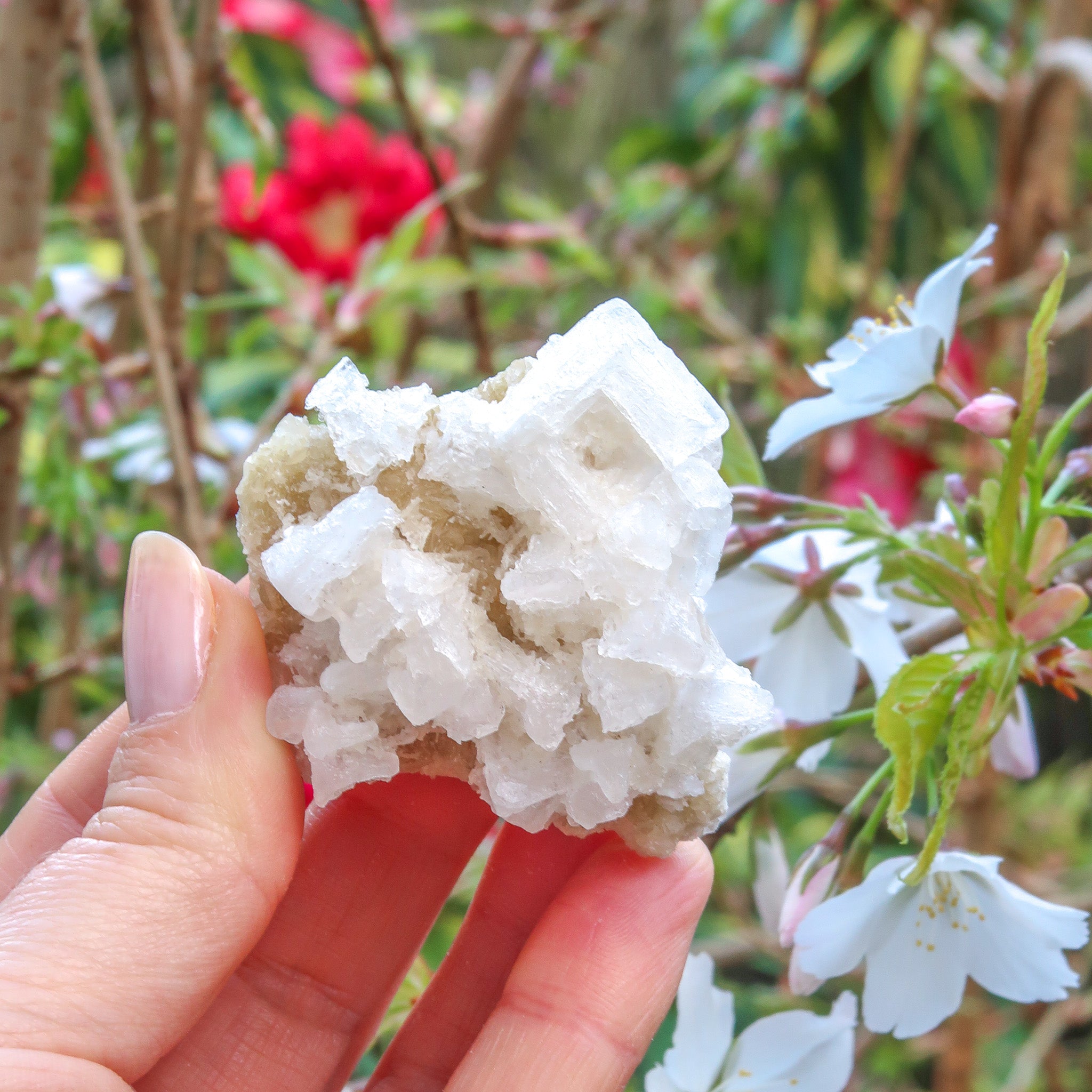 Halite Cluster | White