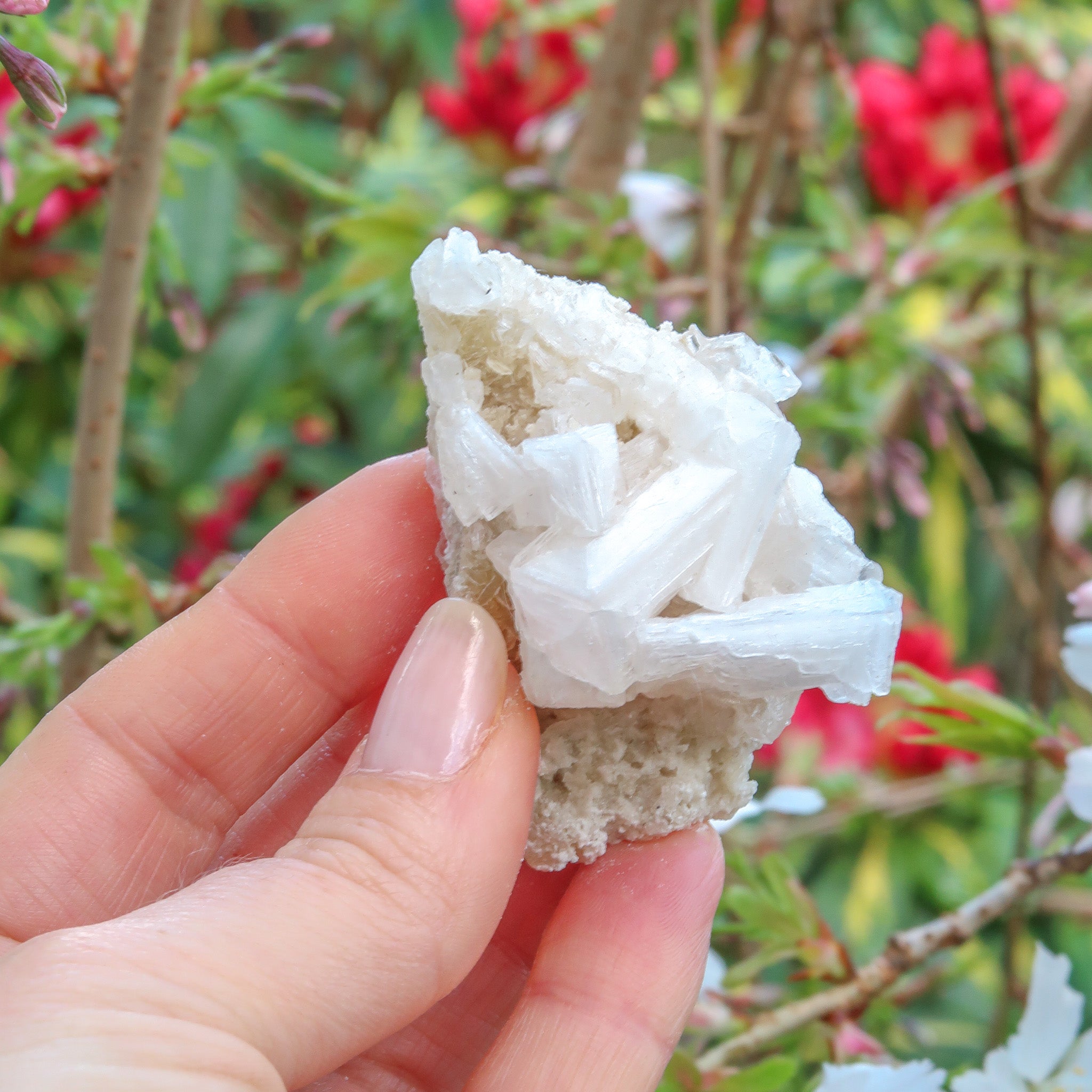 Halite Cluster | White