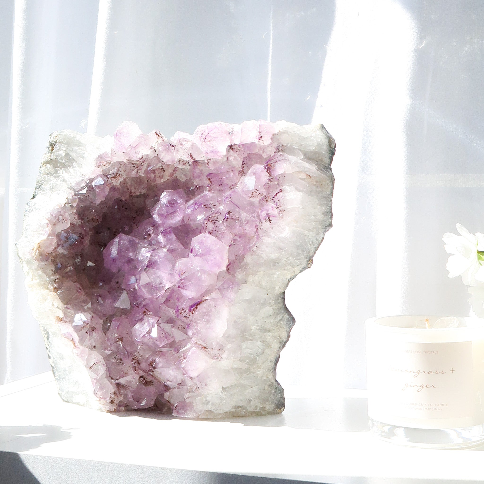 Amethyst Cluster | Cut Base