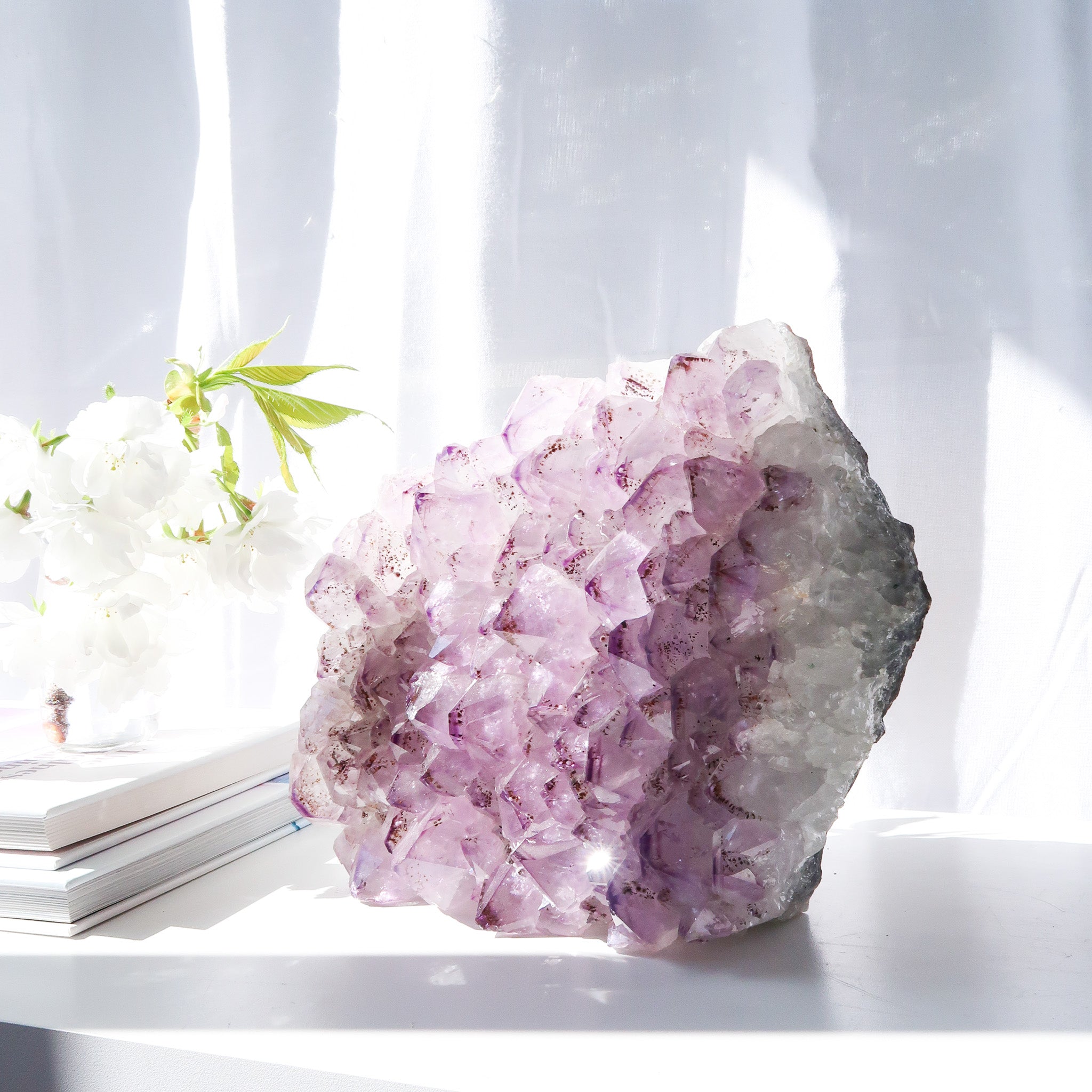 Amethyst Cluster | Cut Base