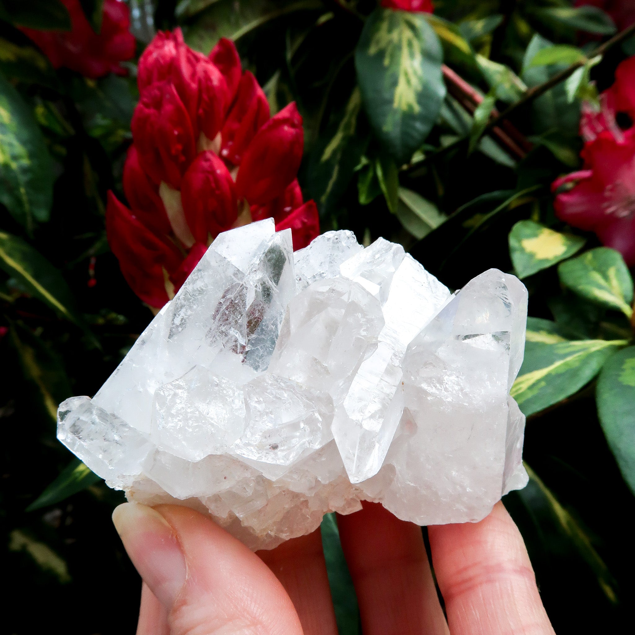 Clear Quartz Cluster