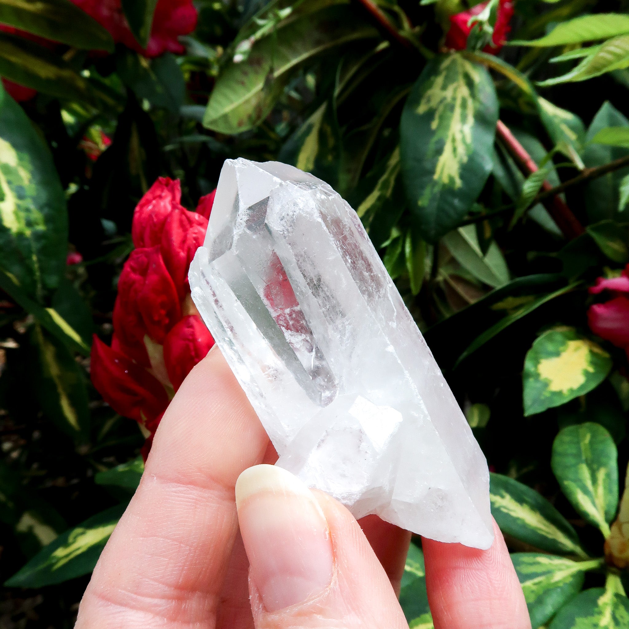 Clear Quartz Point | Raw