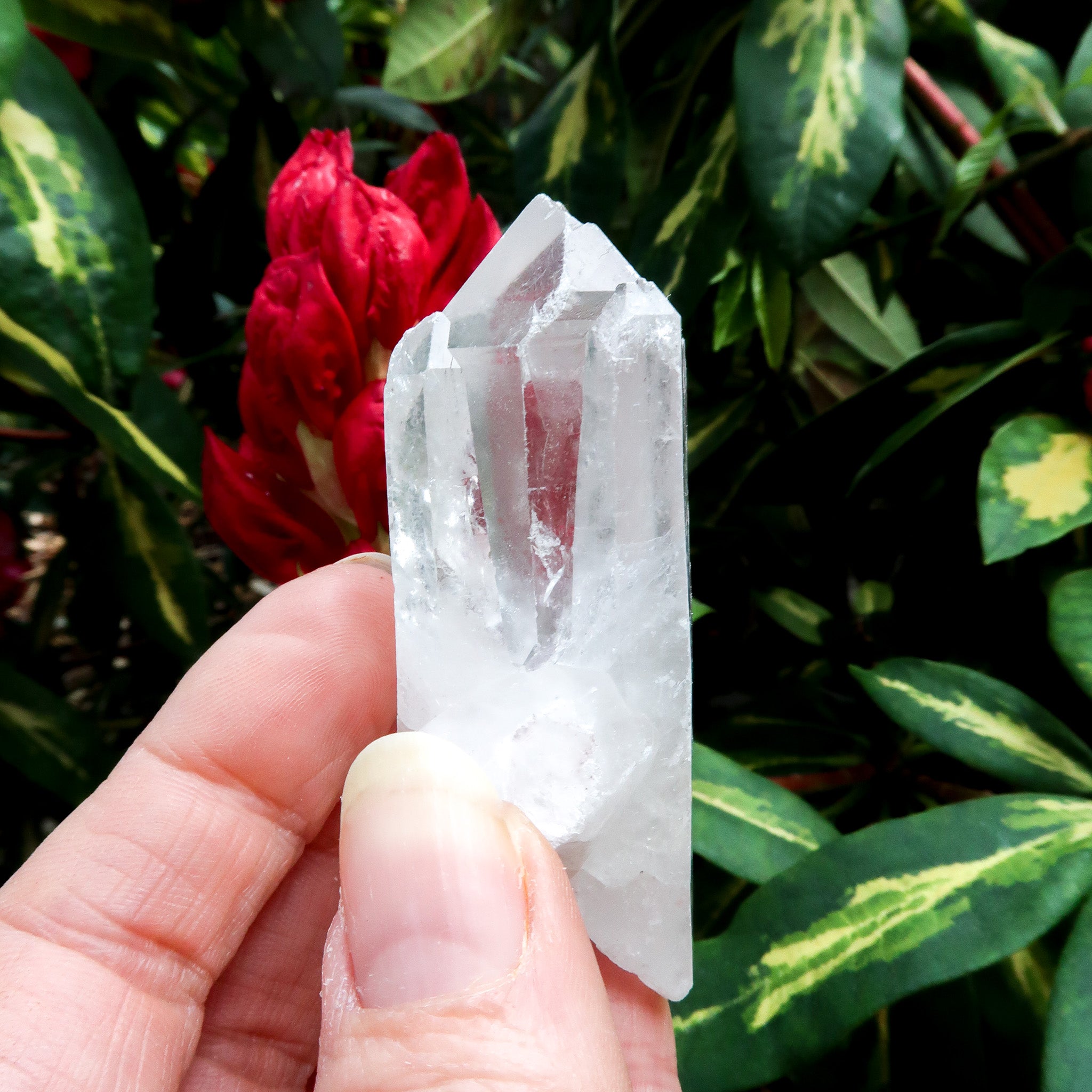 Clear Quartz Point | Raw