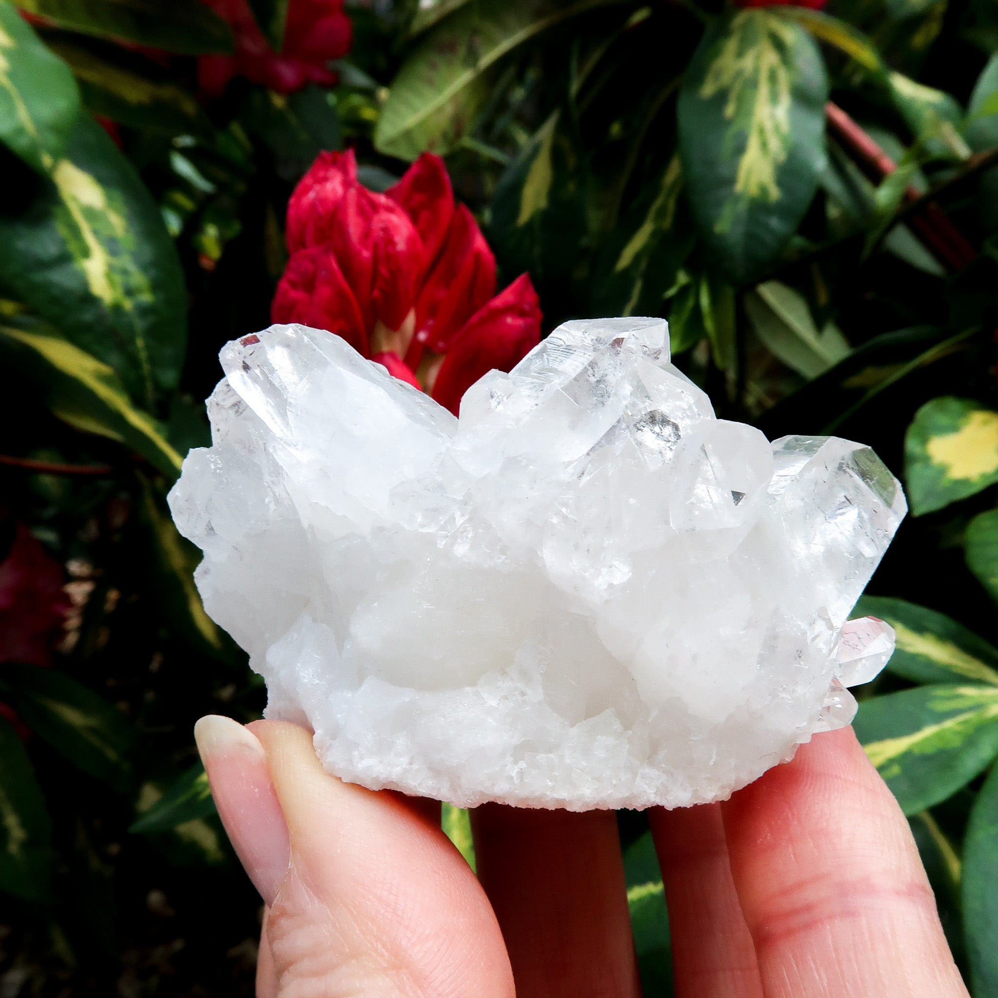 Clear Quartz Cluster