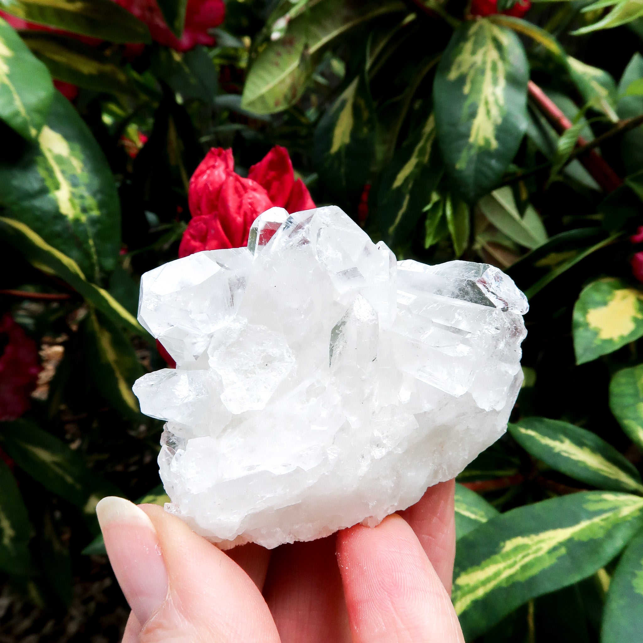 Clear Quartz Cluster