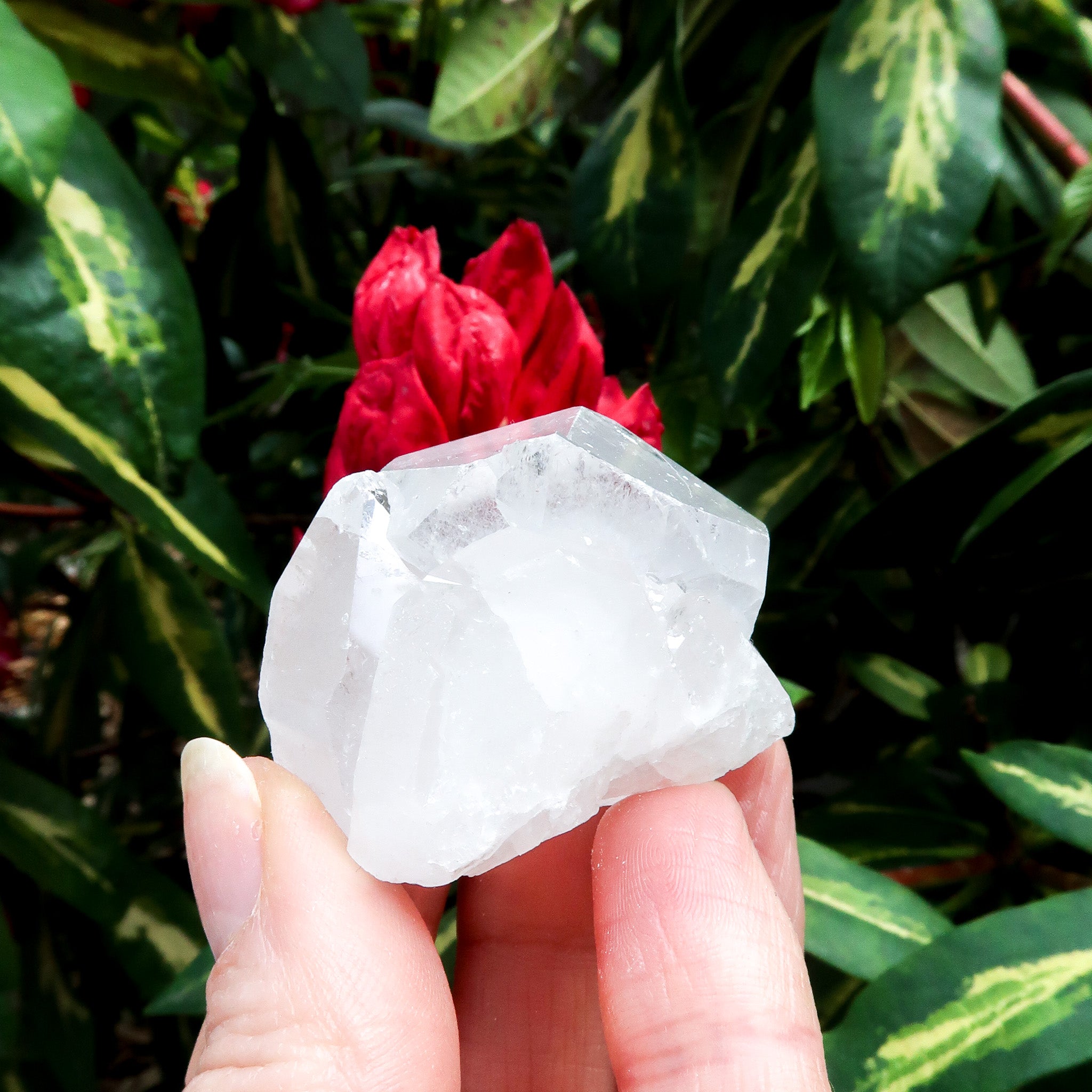 Clear Quartz | Raw