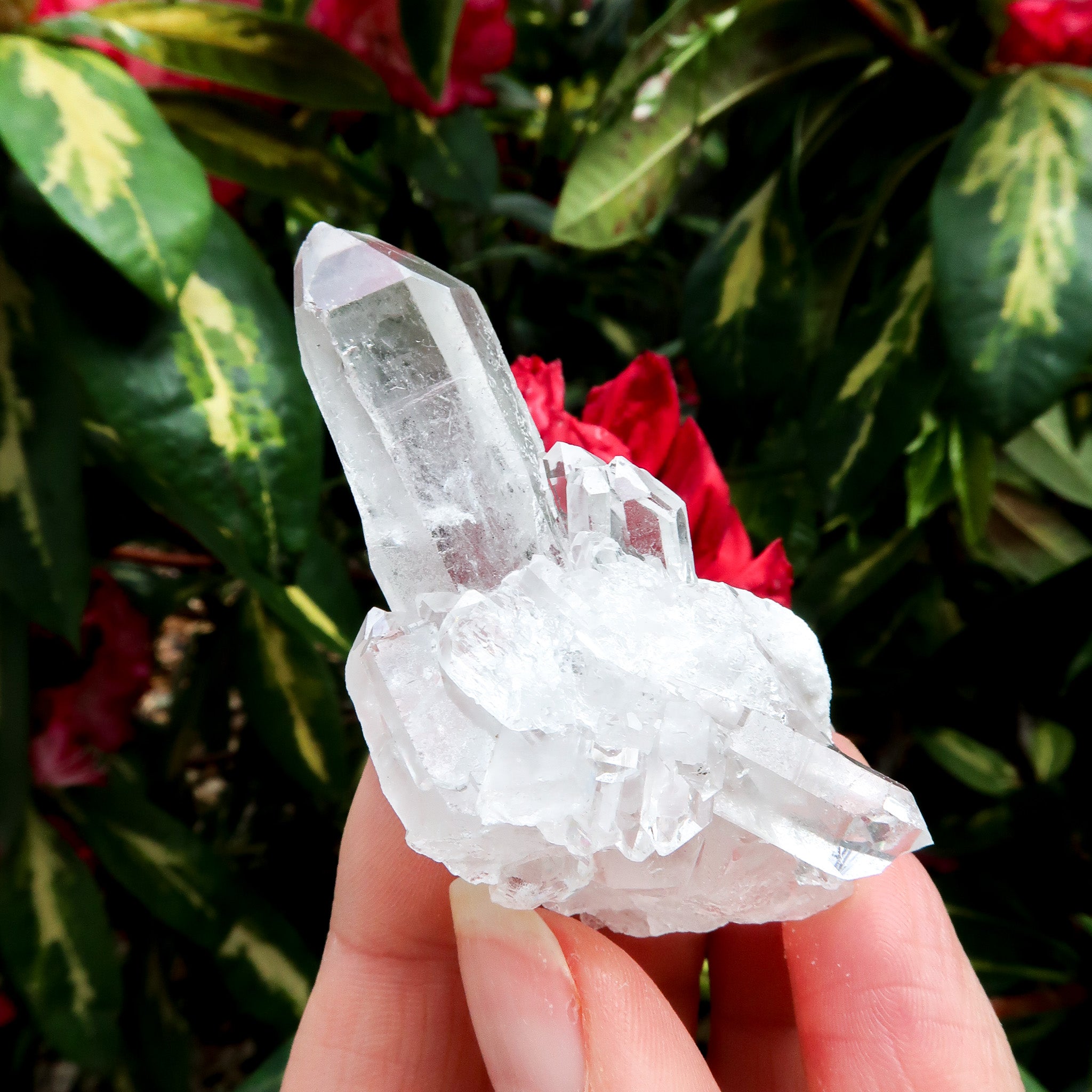 Clear Quartz Cluster