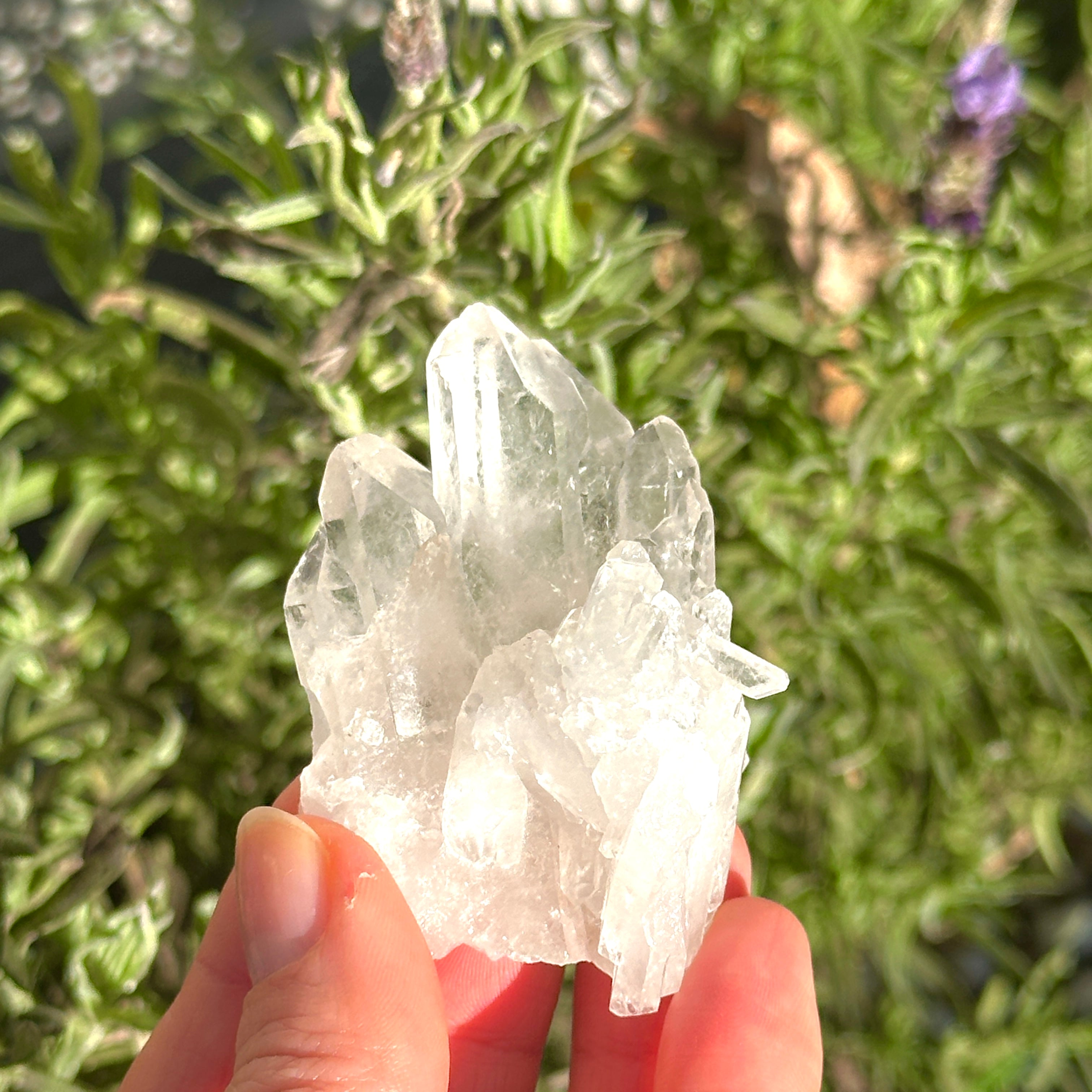 Clear Quartz Cluster | Small