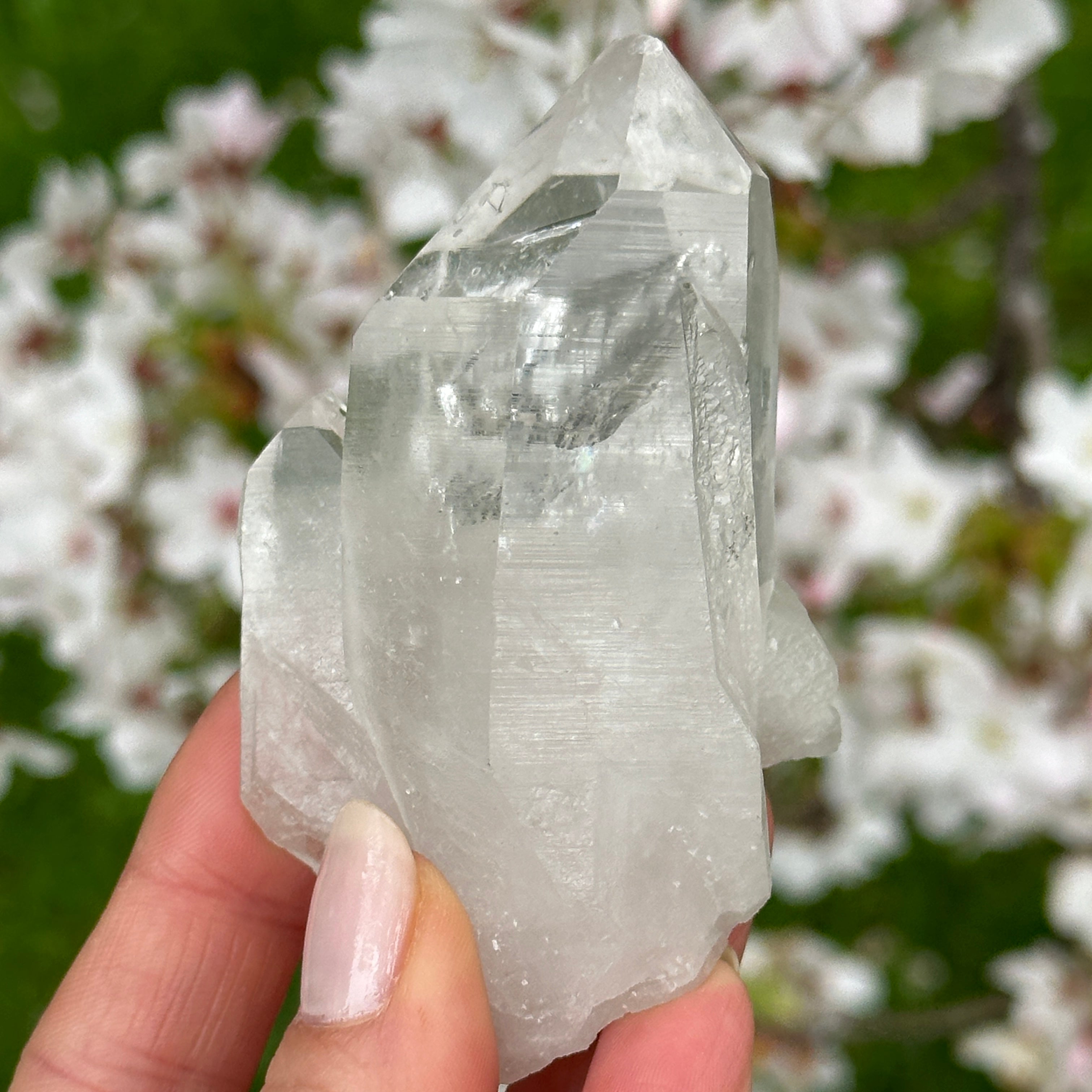 Lemurian Quartz Double Point