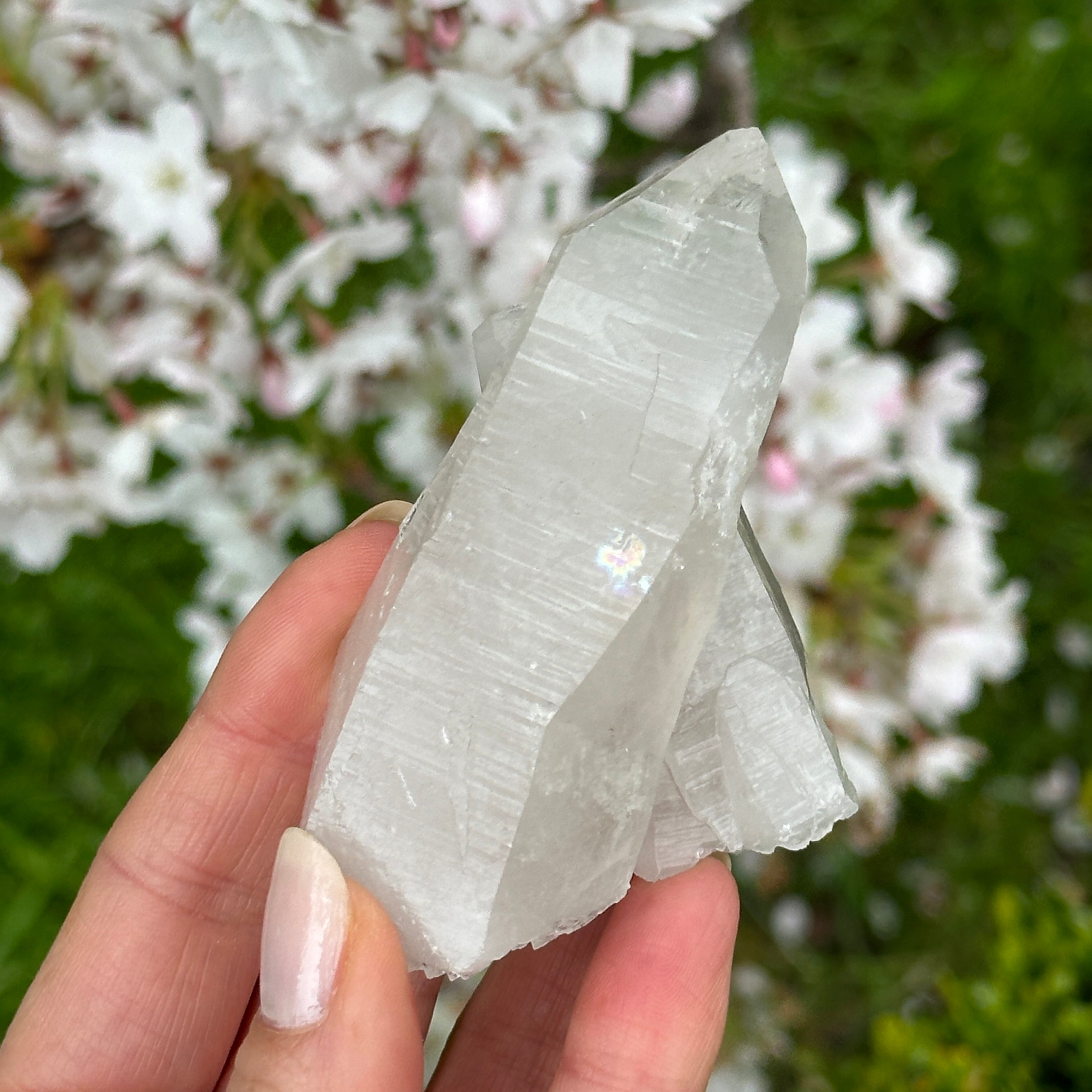 Lemurian Quartz Point