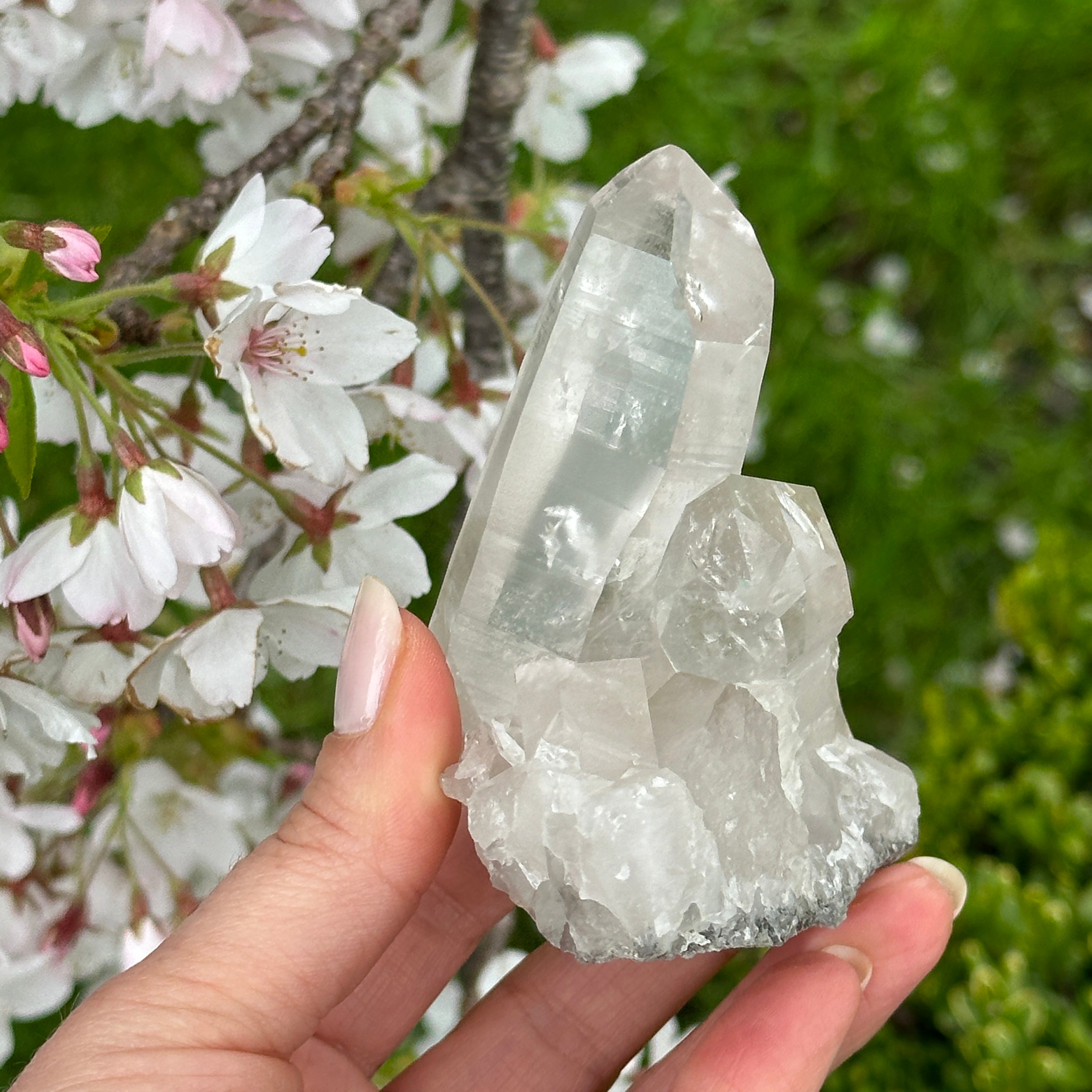 Lemurian Quartz Cluster | Standing