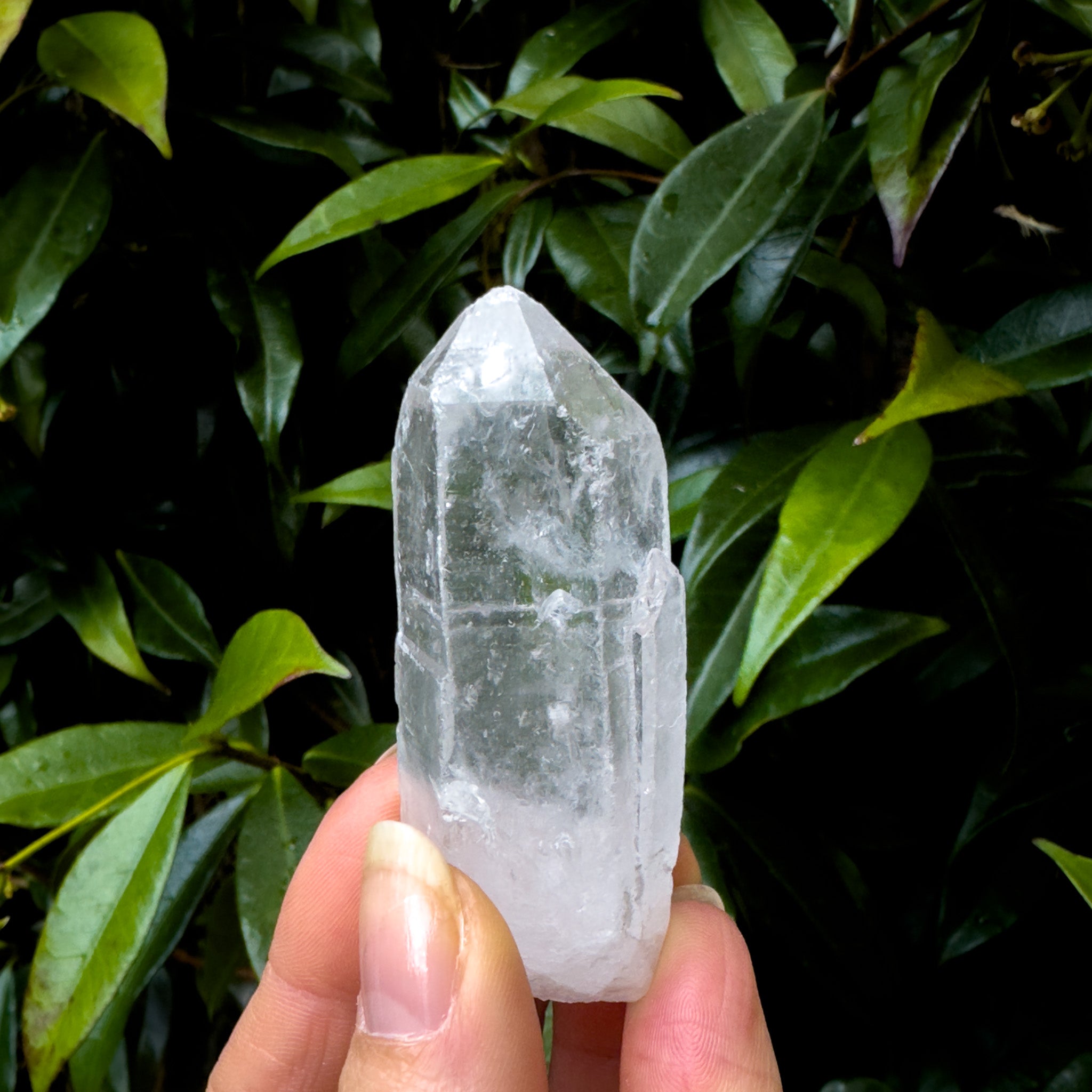 Clear Quartz Point | Raw