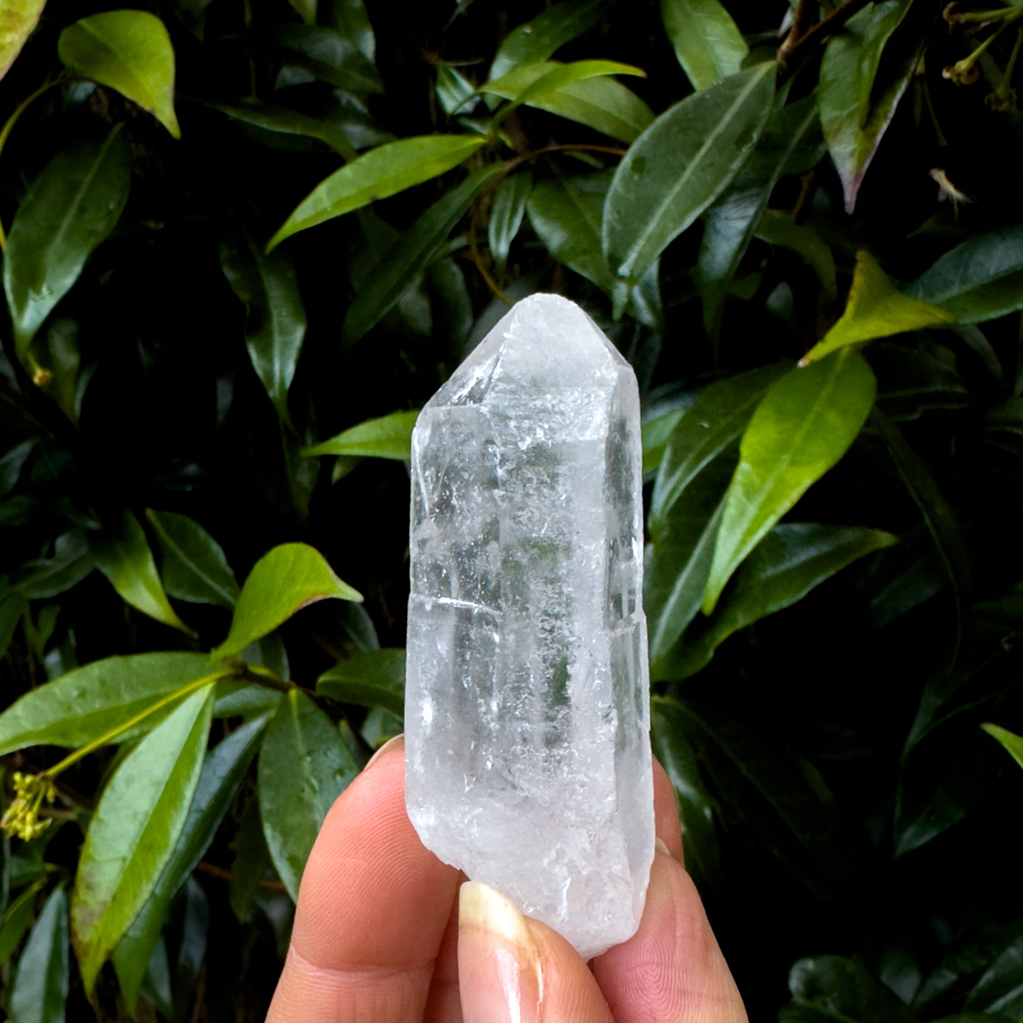 Clear Quartz Point | Raw