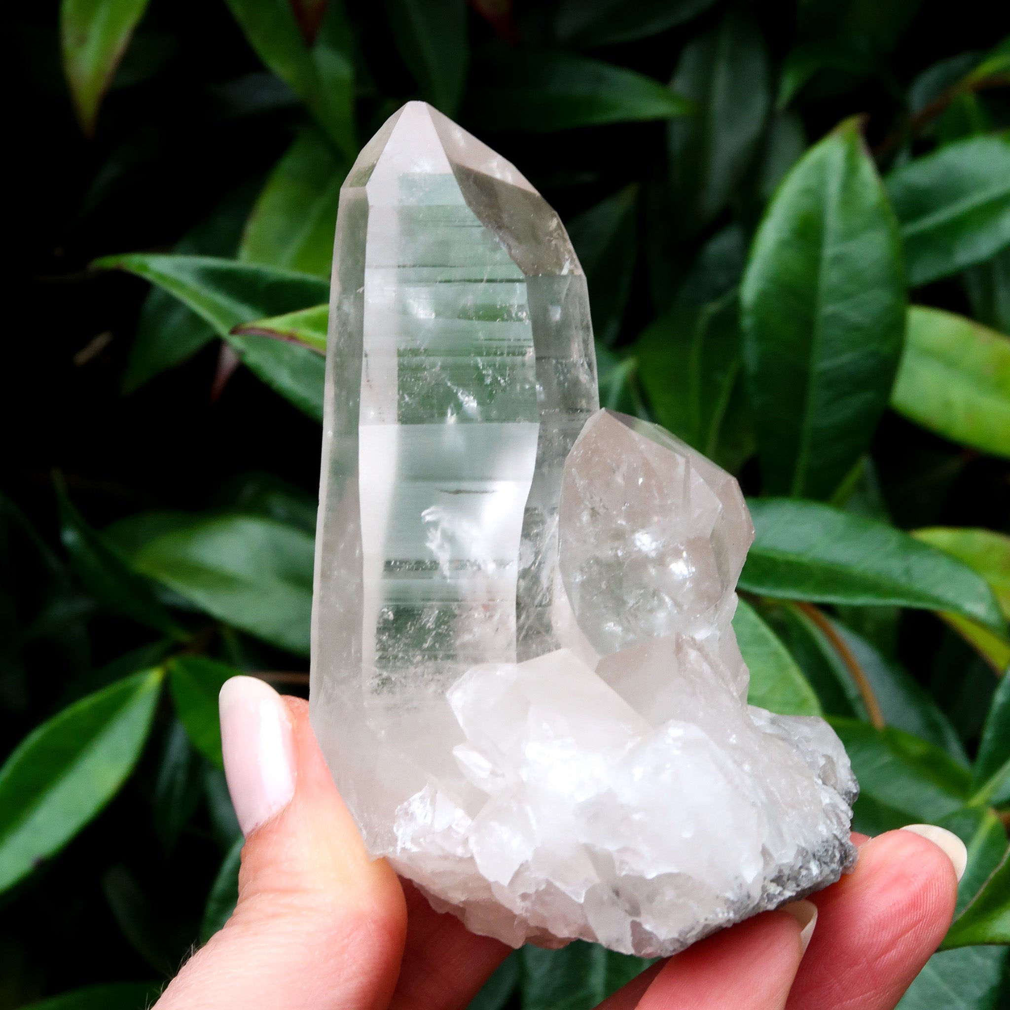 Lemurian Quartz Cluster | Standing