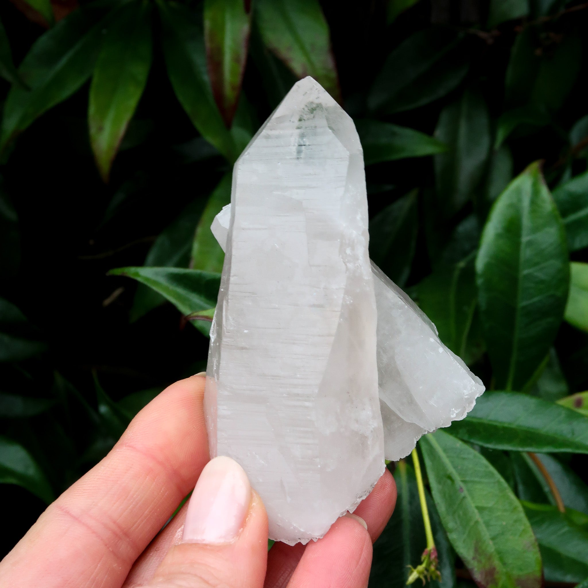 Lemurian Quartz Point